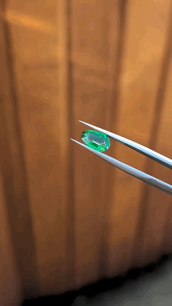 gifFile - 2026-10-11T142148.115.gif