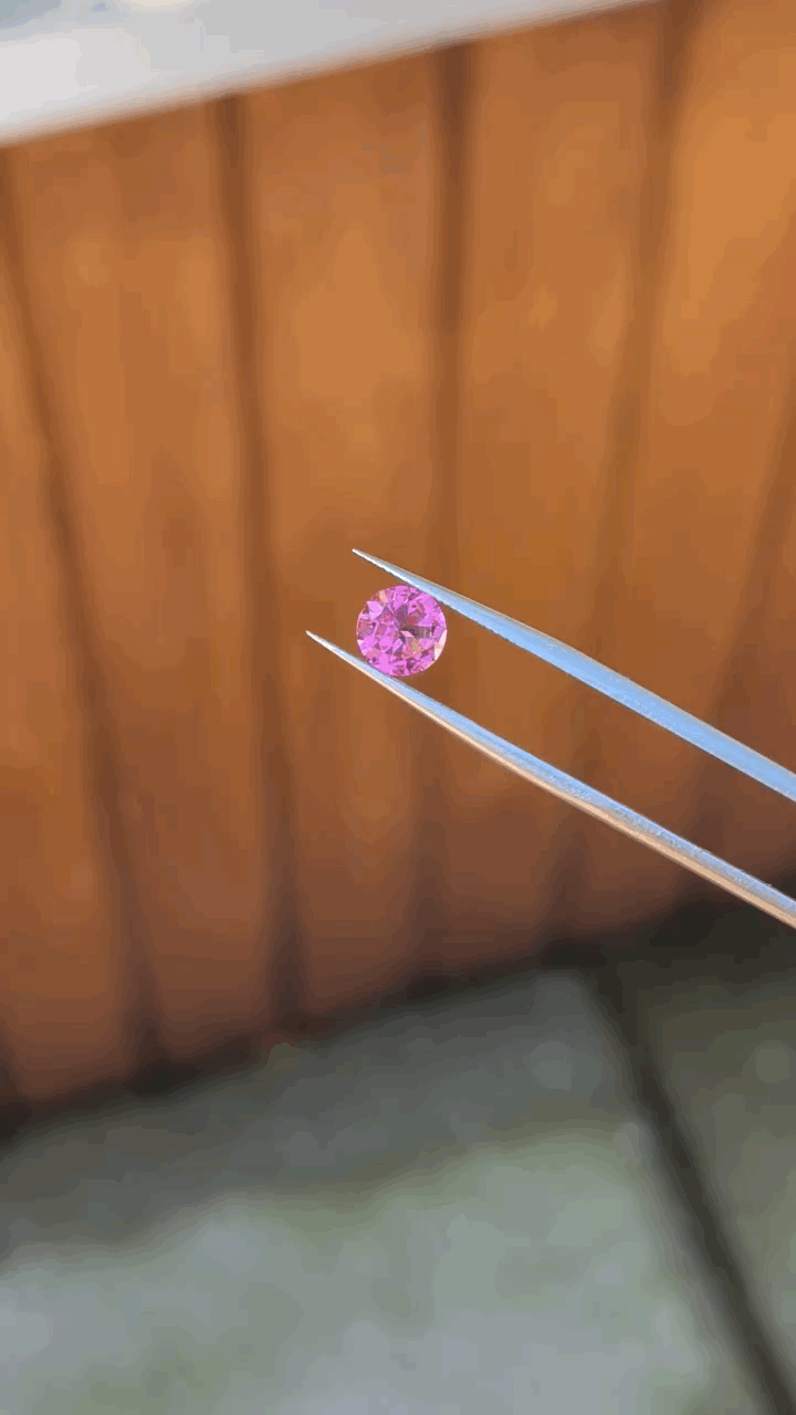 gifFile - 2026-10-11T211502.046.gif