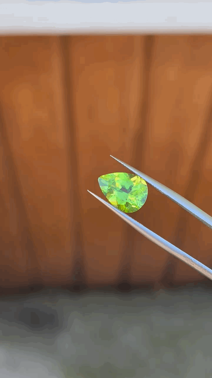 gifFile - 2026-10-09T222606.472.gif