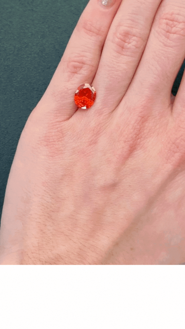 Untitled design (3).gif