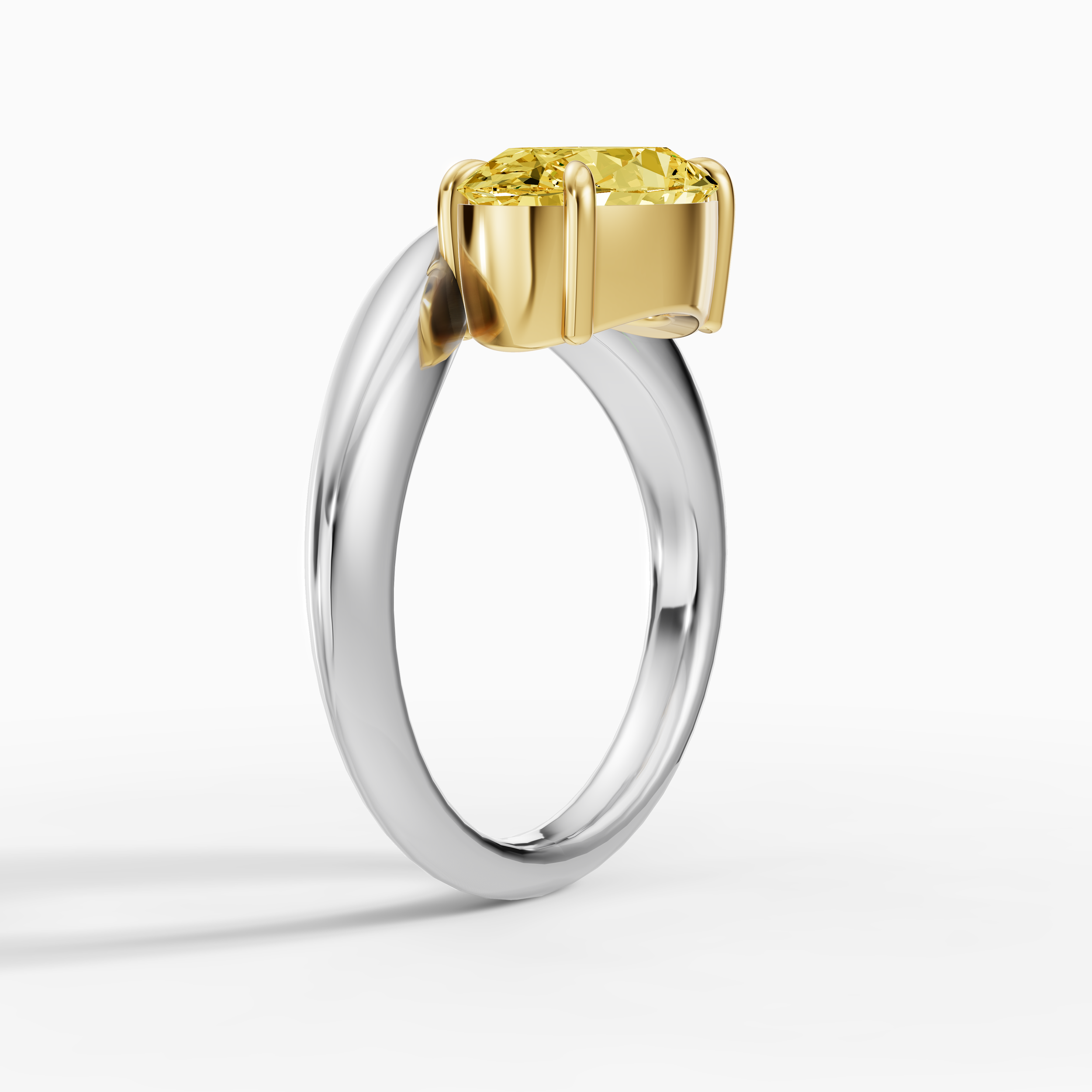 Ring 1 Render (4).png