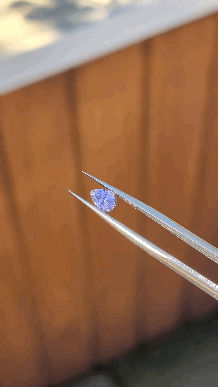 gifFile - 2026-10-11T150734.304.gif