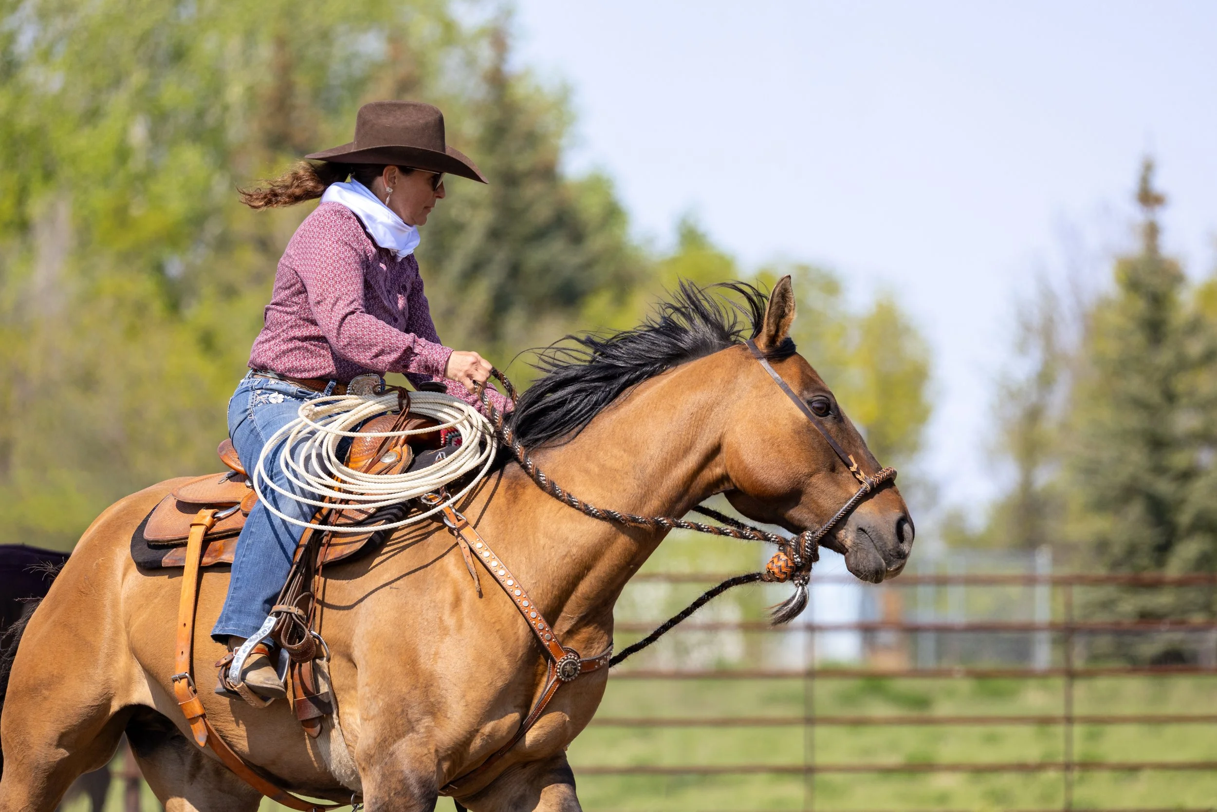 horse gal portait action shot.jpg