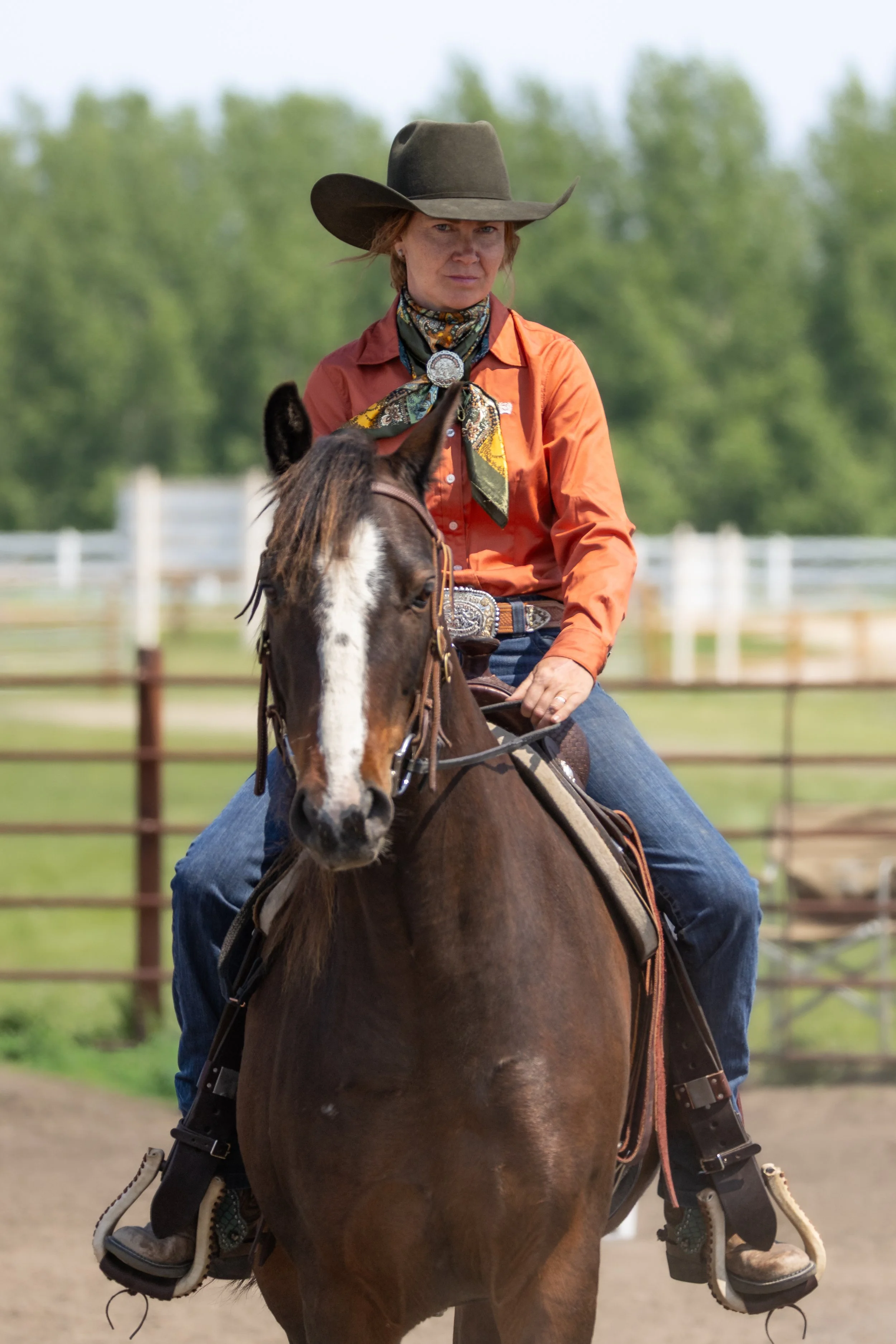 Mean Mug horse gal web.jpg