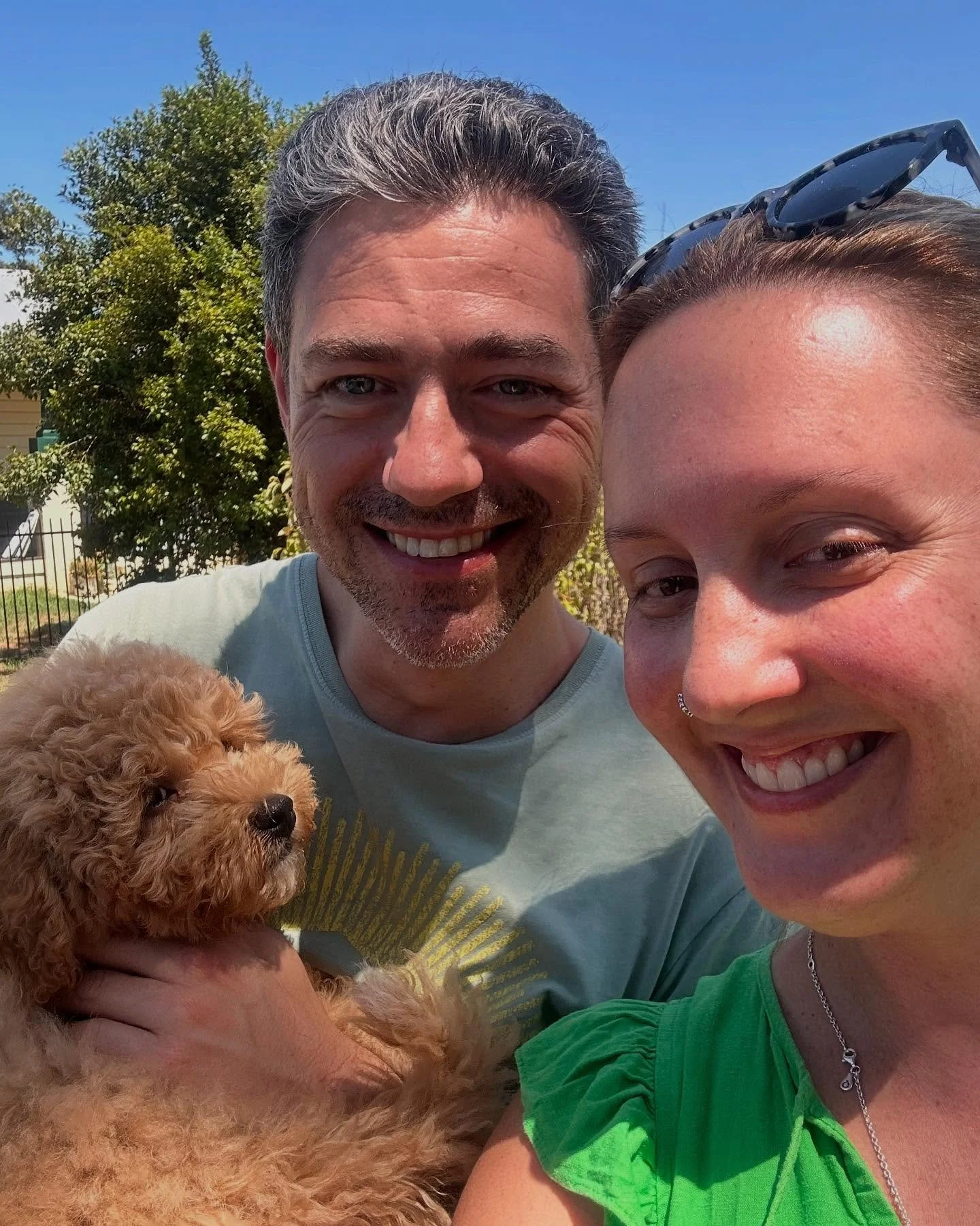 This needed a spot on the grid! Welcome to the family little Ziggy 😍 We already couldn’t imagine life without you! 
#puppylife #puppylove