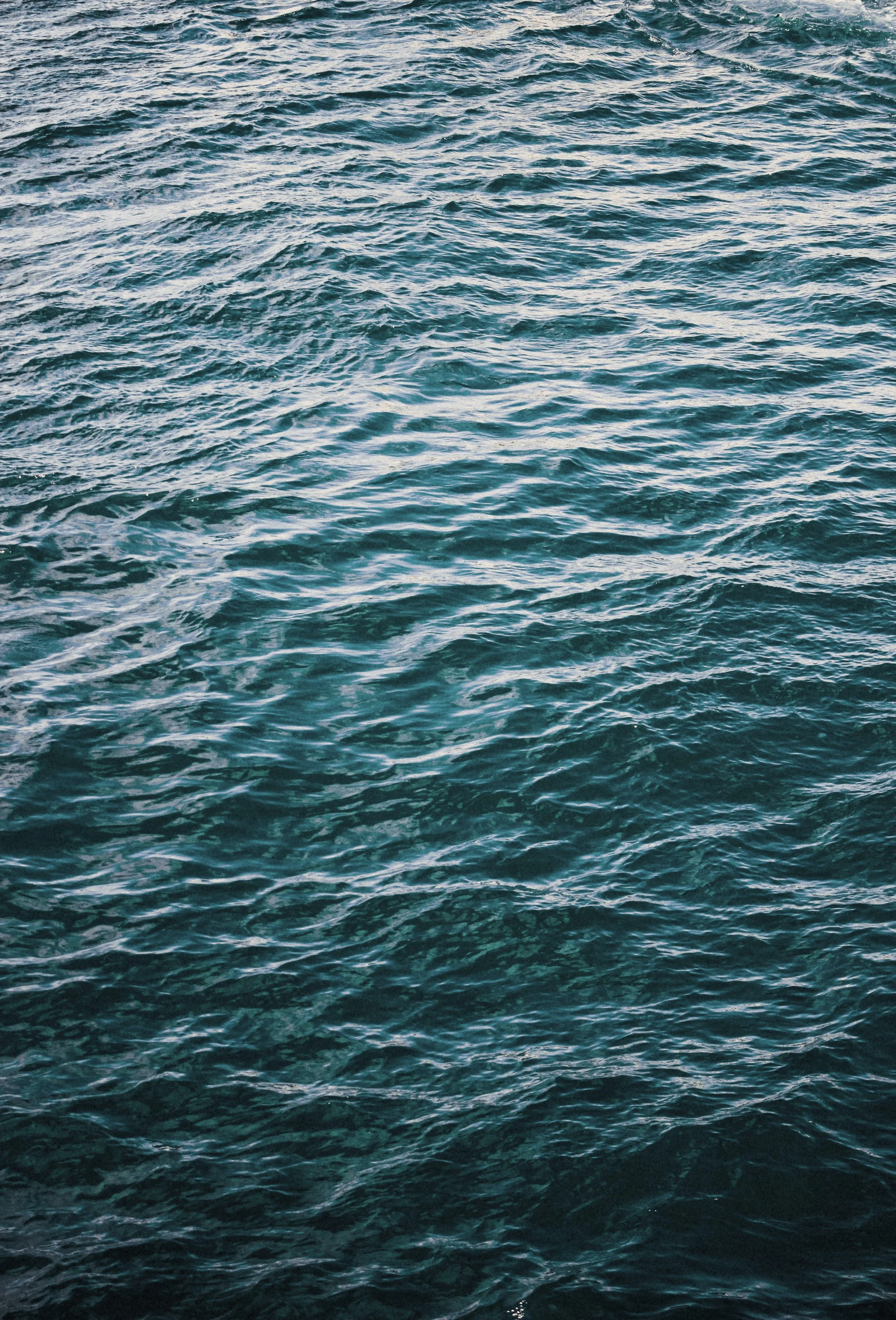 Wild & Sacred Feminine Embodiment Coaching photo of dark ocean waves