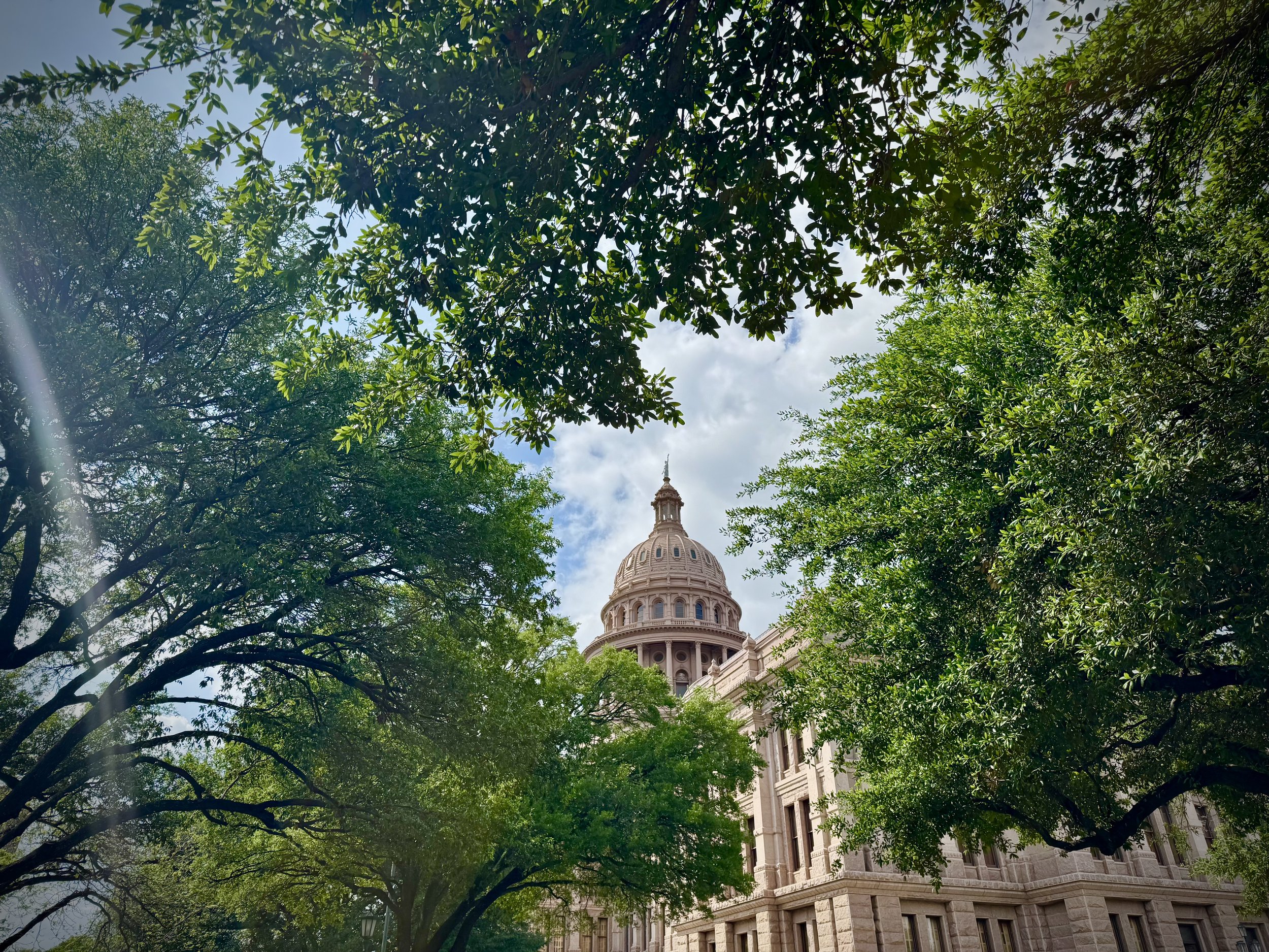 Perspective Without the Flight: Lessons from   the Texas Capitol