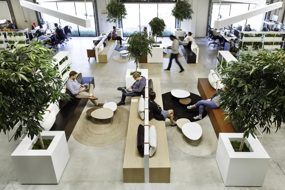 GoGuardian office, El Segundo — plant-filled commercial tenant improvement, additional project photograph.