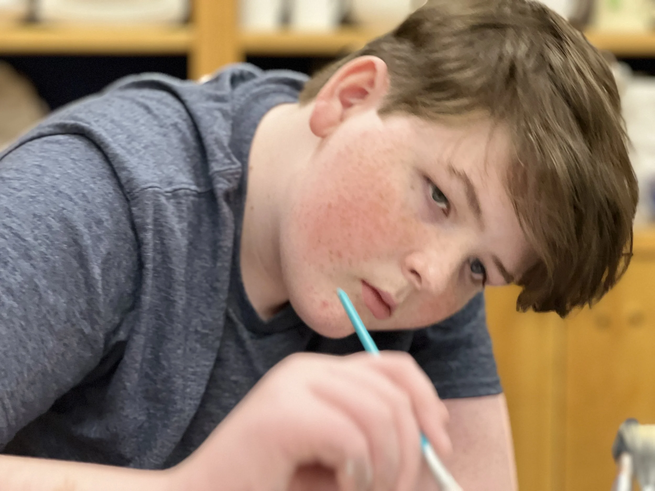 Community Integration Supports