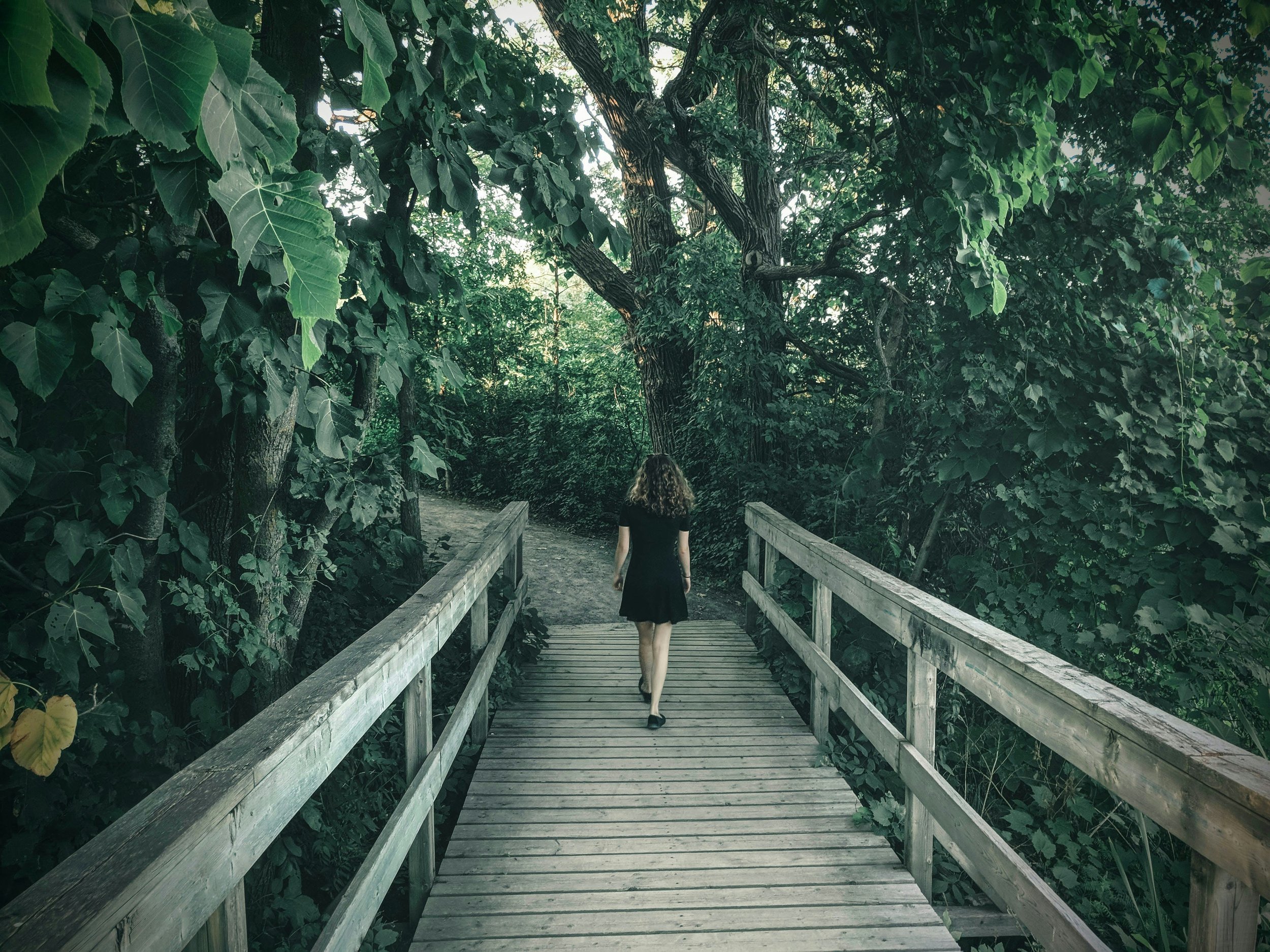 bridge path to forest.jpg