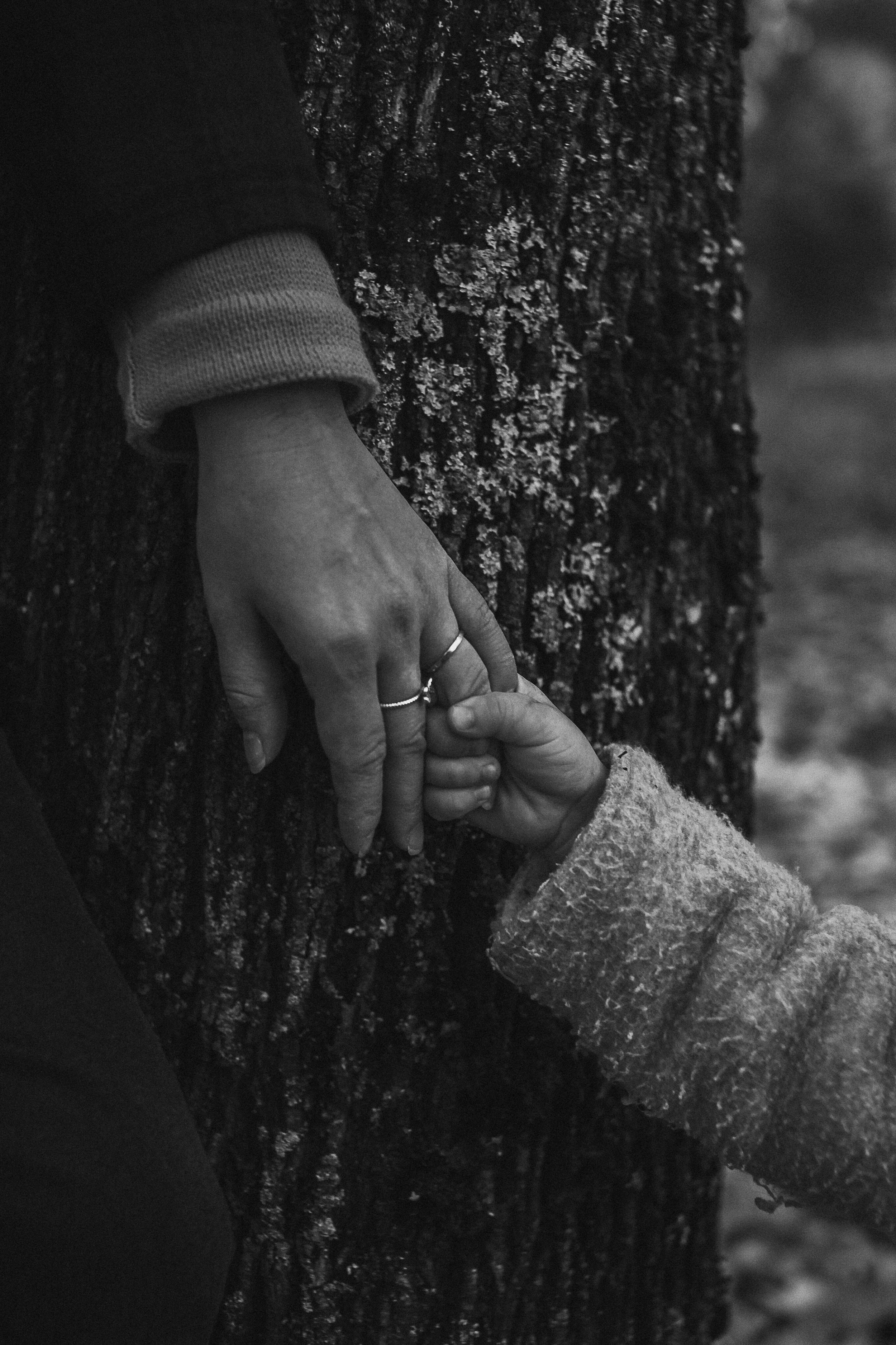 pexels-nikitaxnikitin-14005325.jpg