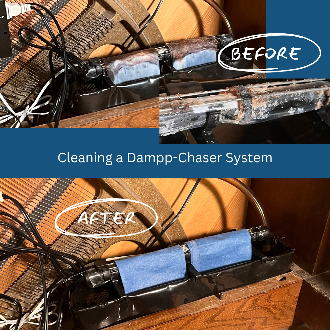 Dampp Chaser.png