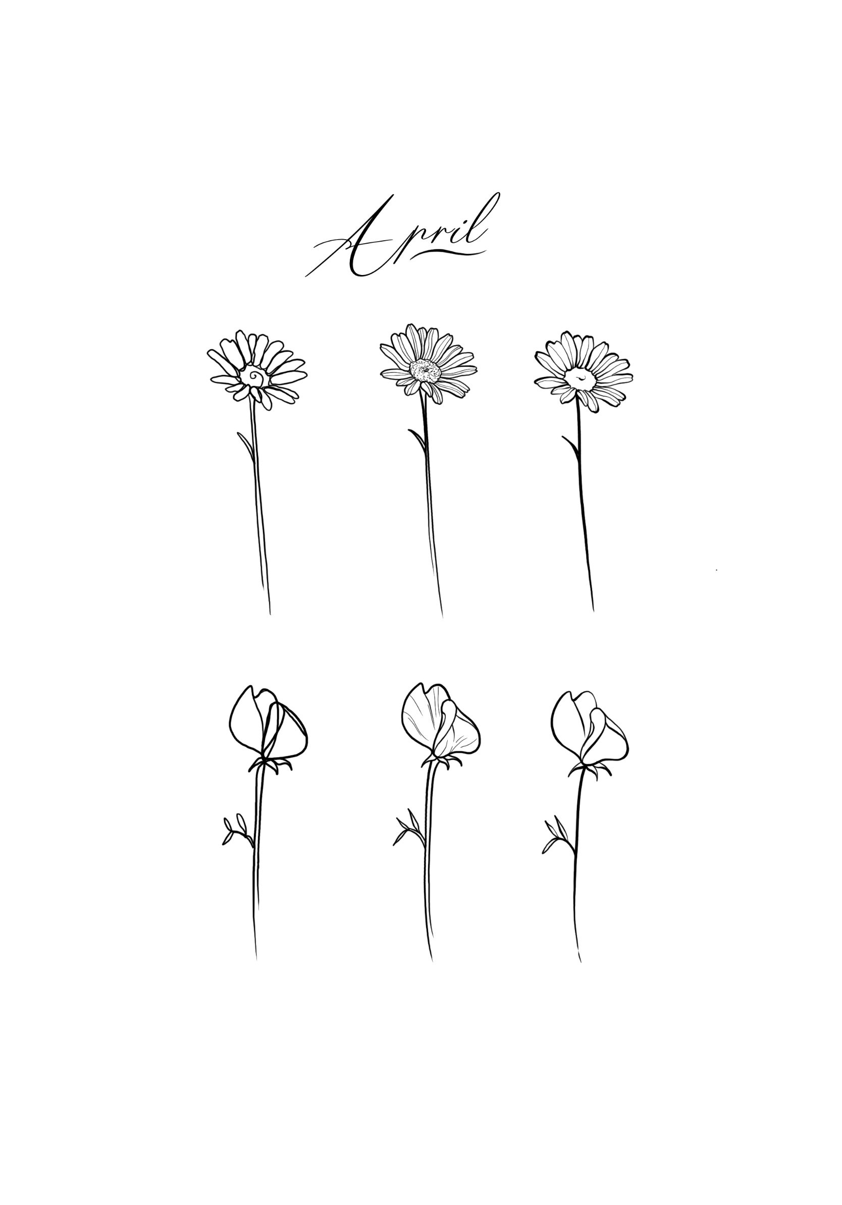 Untitled_Artwork 10 (1).jpg