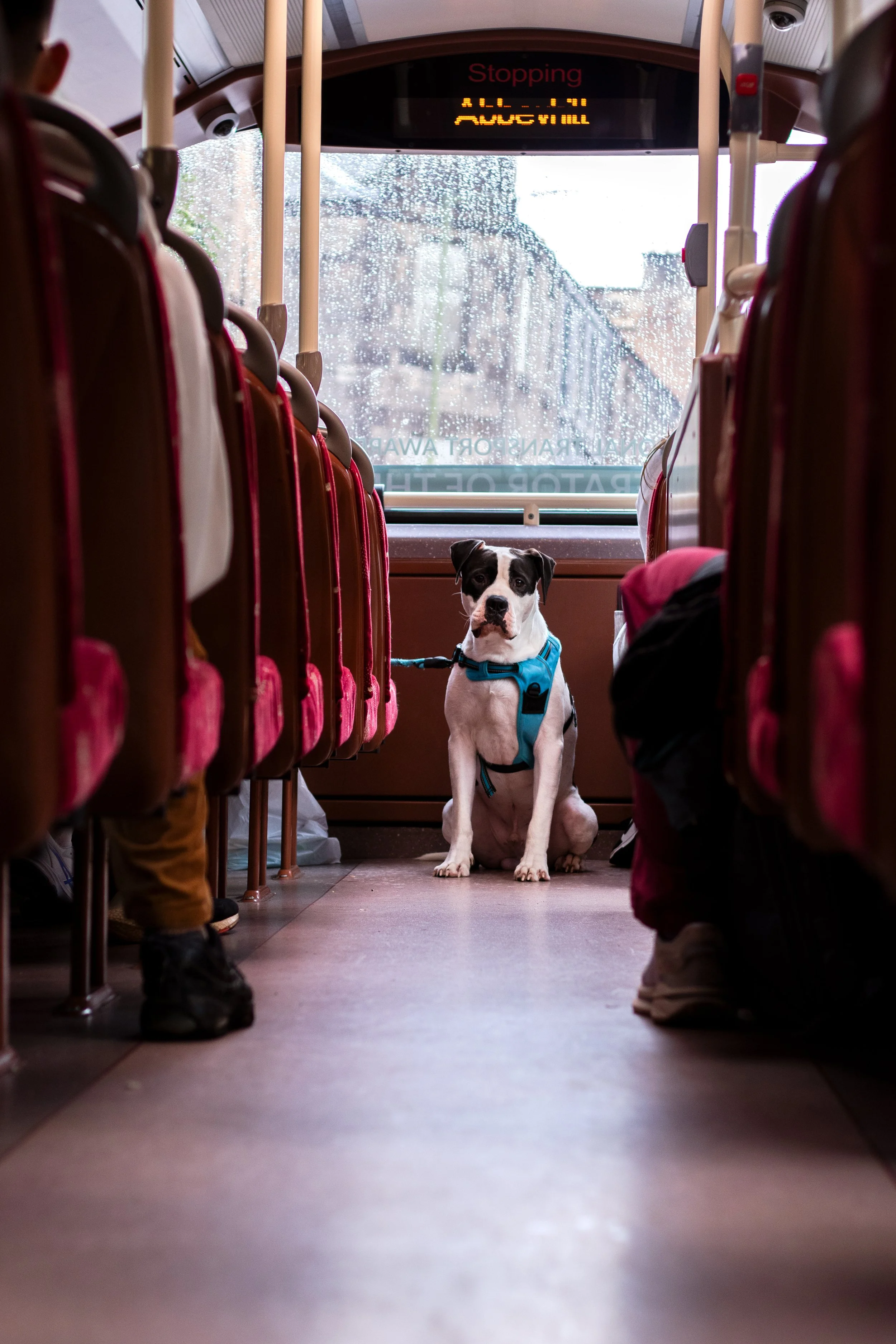 Common Ground Studio is a creative studio based in Edinburgh, made up of passionate local freelancers who specialise in photography, video, and design. We love problem-solving, storytelling, and making things look and feel just right. 