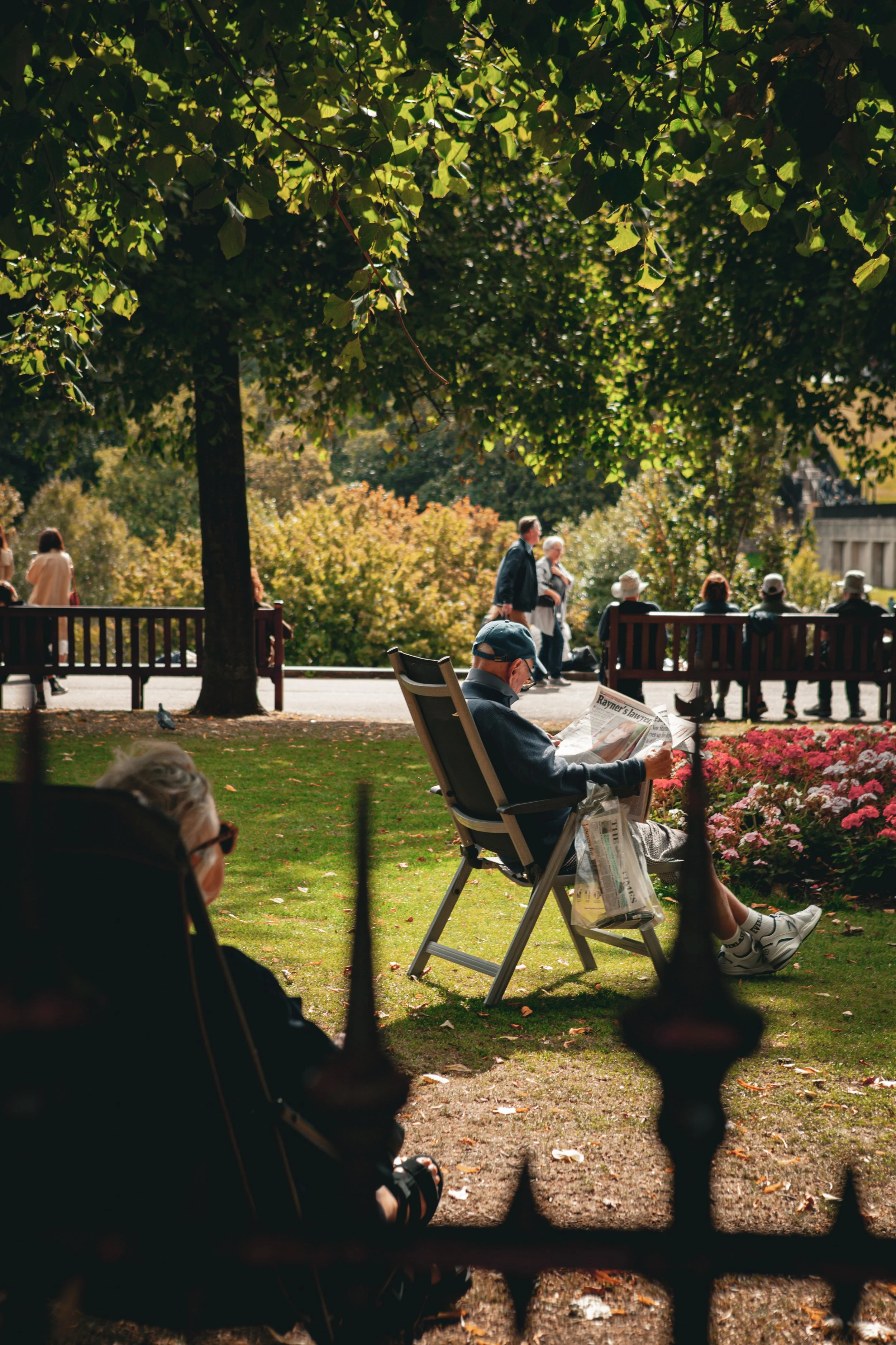 People sitting and walking in a park under a large leafy tree, with an elderly man reading a newspaper and a woman seated nearby, and a group of people on benches in the background.