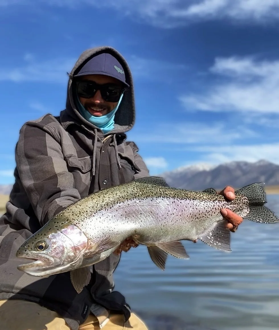 Healthy Hen!🐓#easternsierras #flyfishing #rainbowtrout #wildtrout #mammothlakes #fishitwell