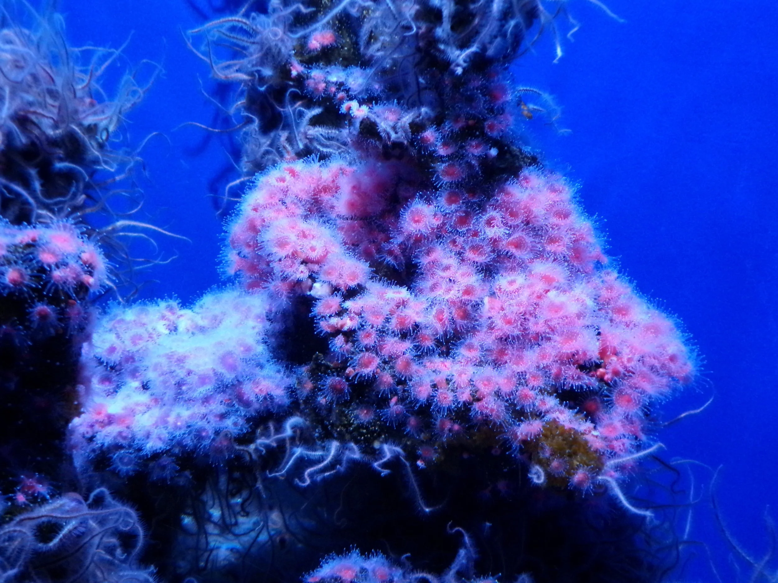 100_3356.JPG