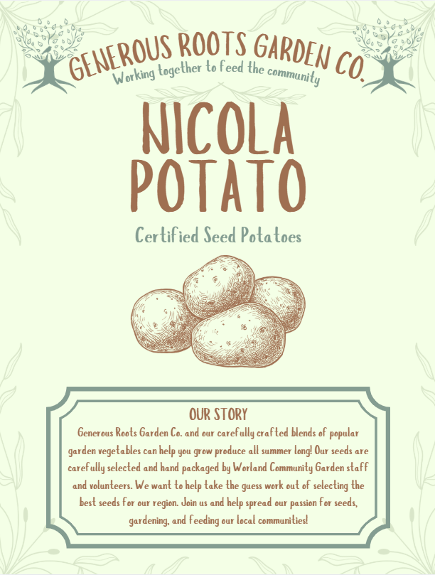 Nicola Seed Potato