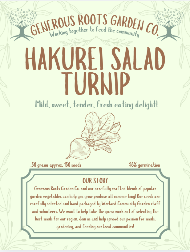 Hakurei Salad Turnip