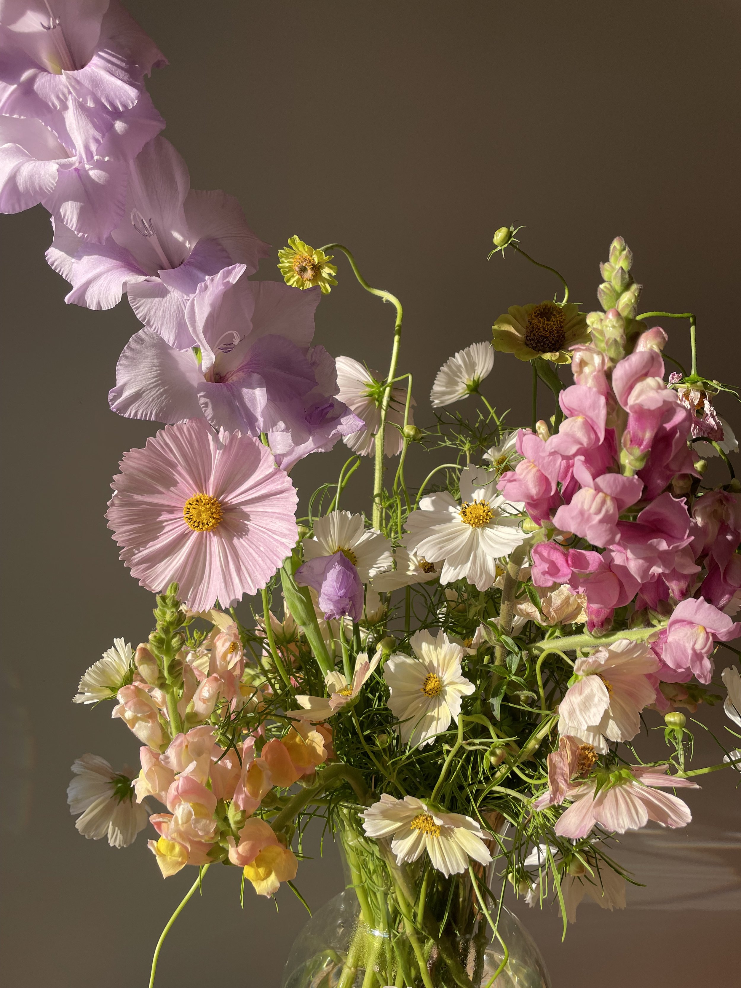 Un bouquet de fleurs composé de glaïeuls mauves, cosmos blancs et roses, mufliers roses, et autres petites fleurs dans un vase en verre, éclairé par la lumière du soleil.
