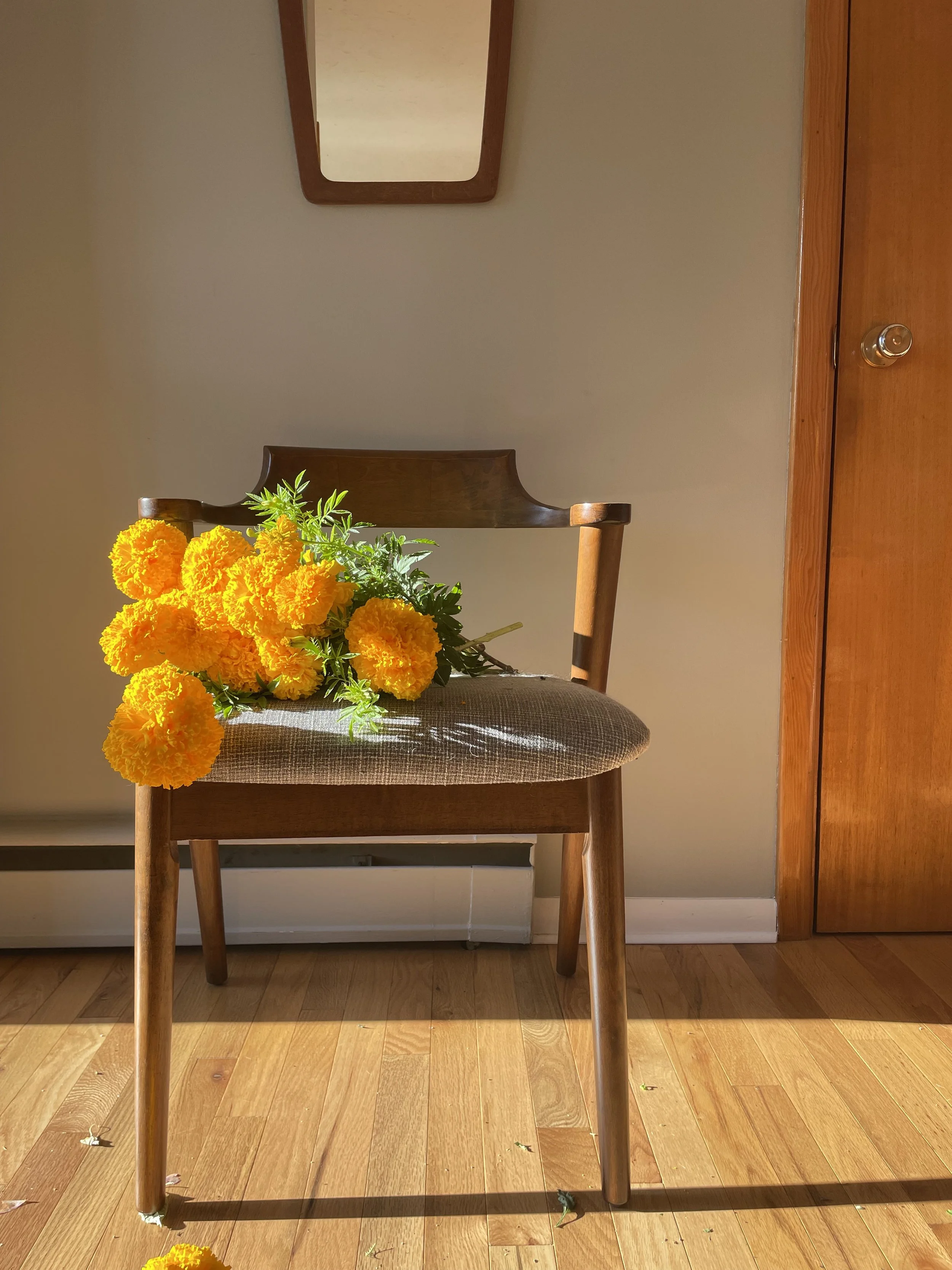 Chaise en bois avec des œillets d'Inde jaunes sur le siège, miroir au mur.