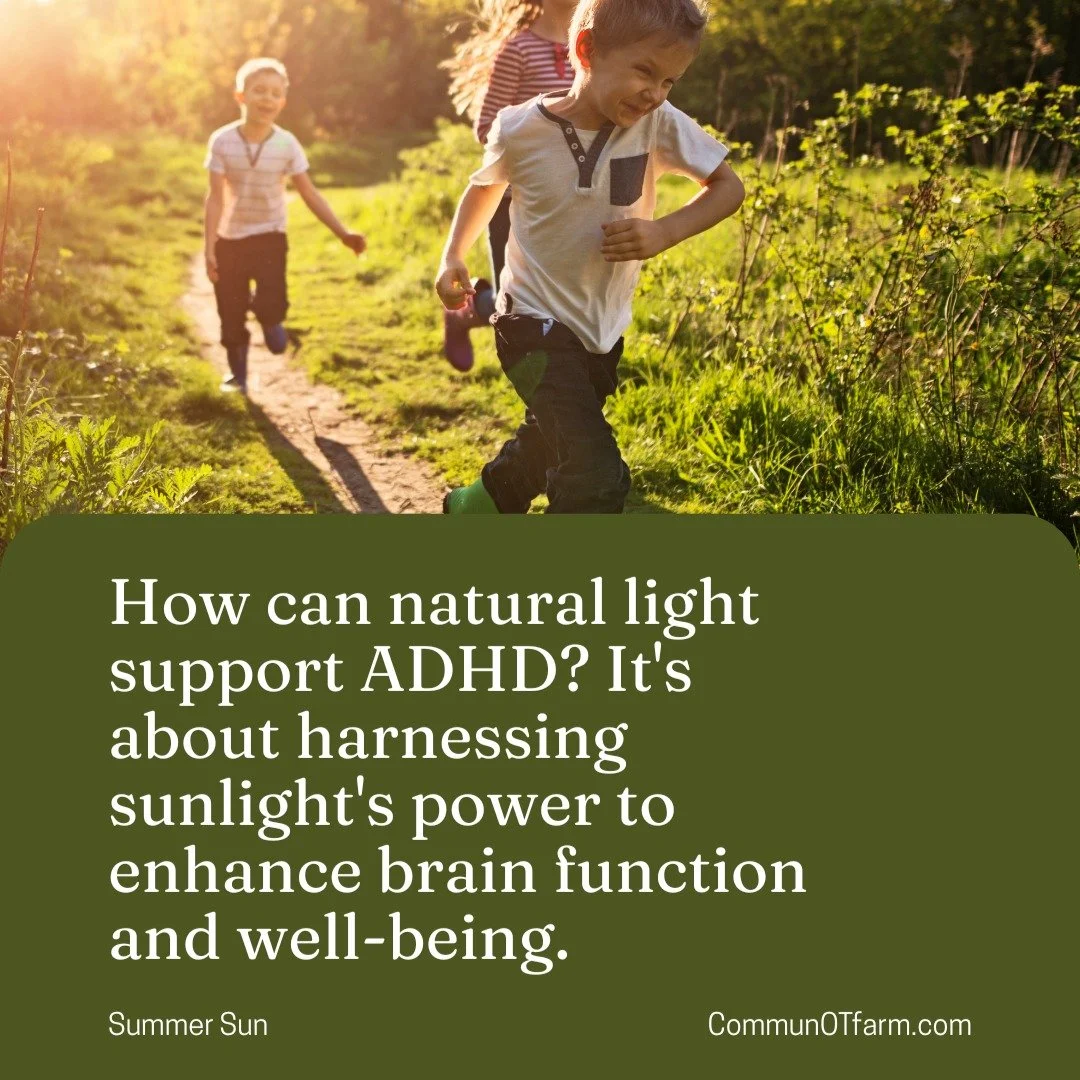 Did you know the sun's natural light can significantly support children with ADHD? Swipe through to reveal how daily sunlight exposure can improve attention and mood, enhance sleep quality by regulating the body's internal clock, and even counteract 