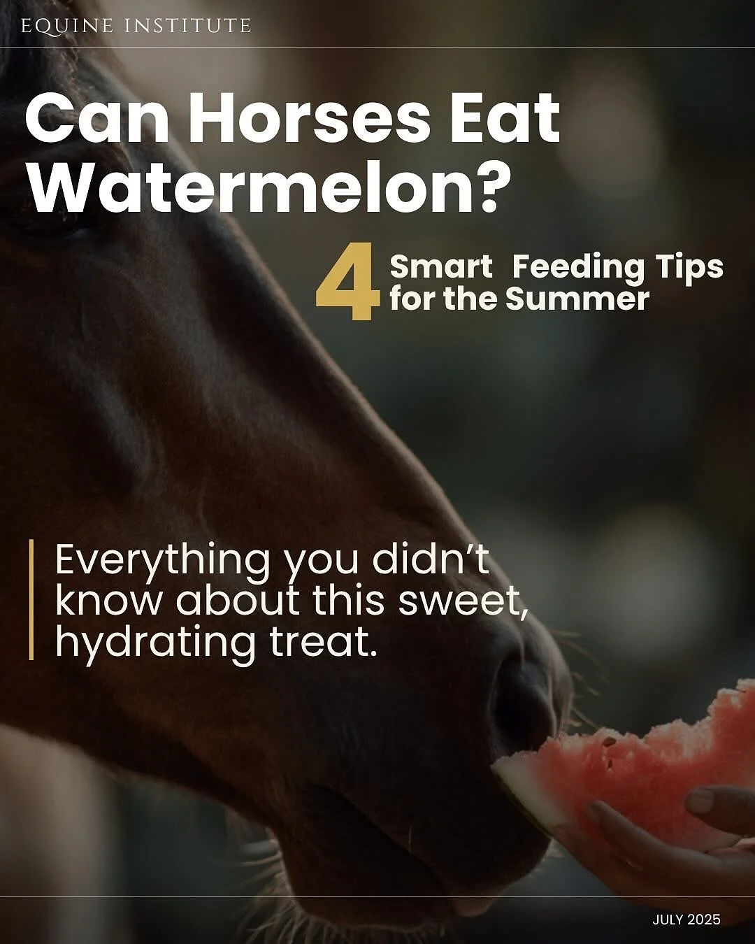 Repost from @helpinghorses After cutting up some tasty watermelon for our own kids today we came across these fun facts! So share some of that delicious treat with your equine friends (in moderation) next time you slice one open!