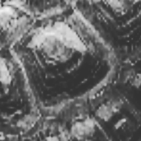 We have some very special guests joining us for the Garden Buds finale! They move slow, think deep, and are experts at helping us stay grounded. Can you guess who&rsquo;s joining the team? Click link in bio to reserve your spot! #pediatricOT #occupat