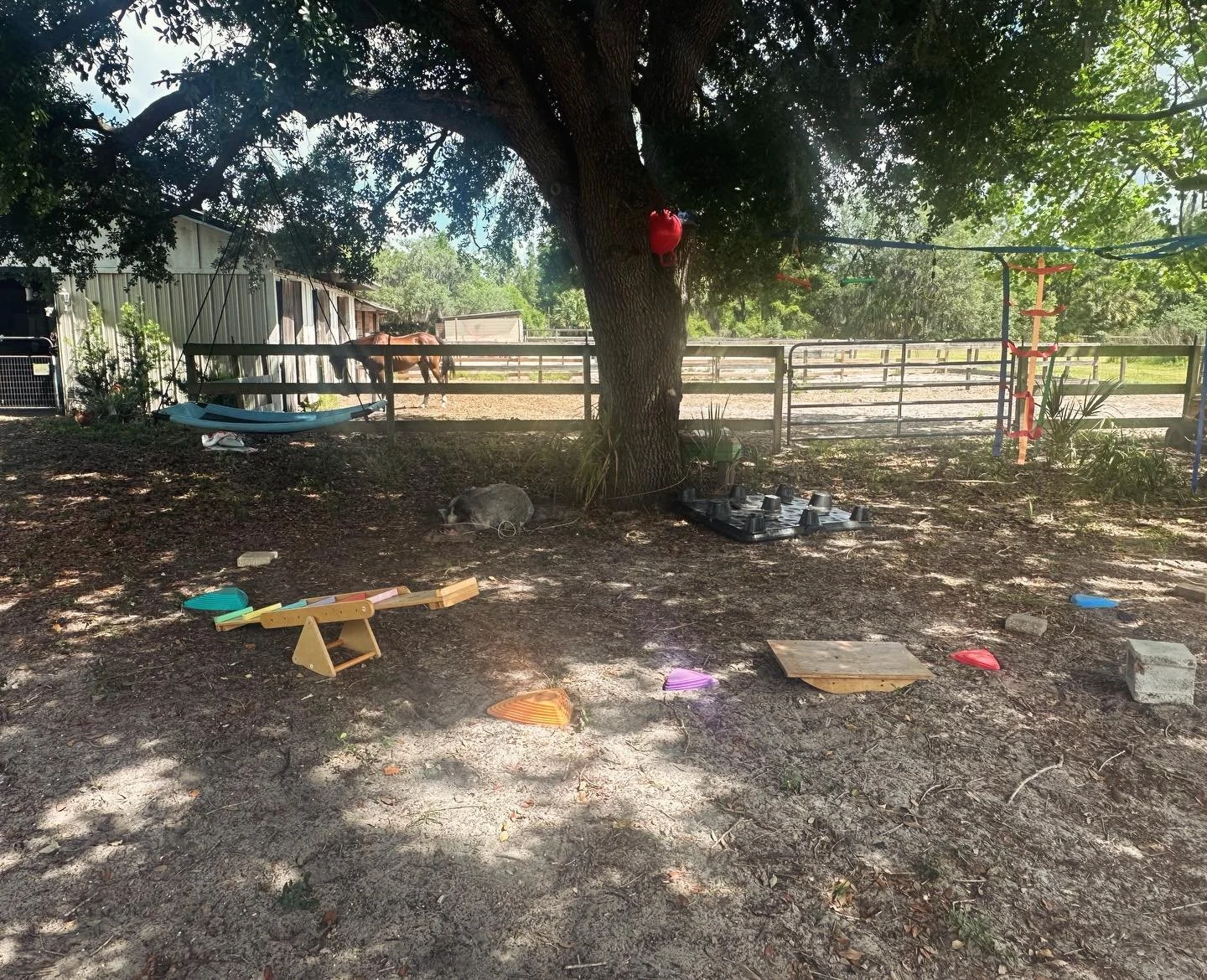 Perfect morning for an obstacle course on the farm - can you spot the spectators? 🐷🐴 #pediatricOT #CommunOTfarm #occupationaltherapy #seminolecounty #springacres