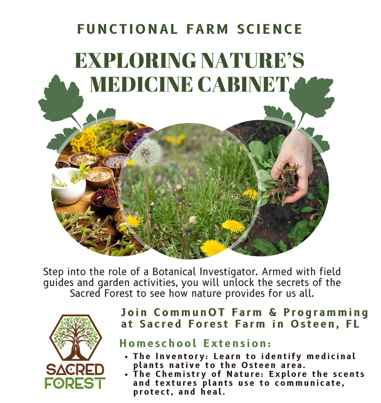 May 29, 10-11:30! We are looking forward to this peaceful morning of plant exploration, sun prints, and gardening! Did you know that you are intuitively drawn to a certain plant for a reason? You&rsquo;ll learn more about this and all that Central Fl