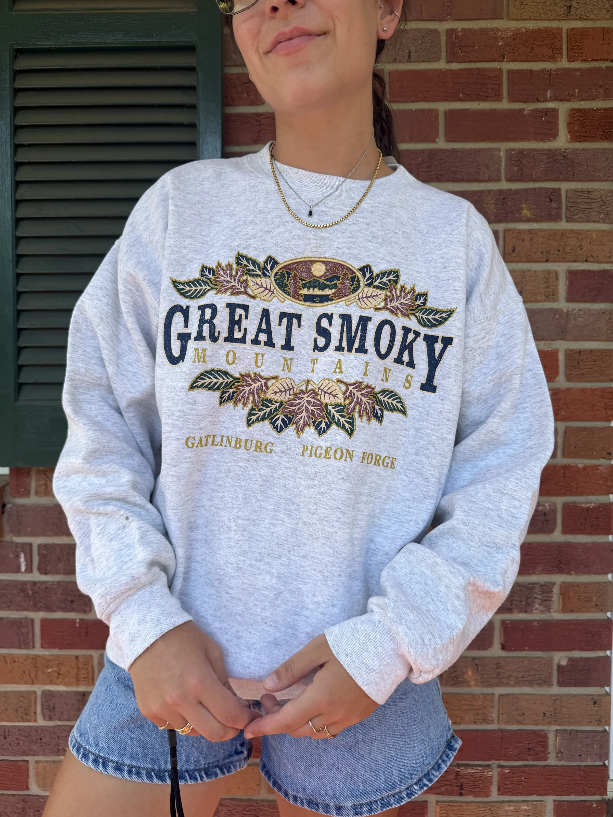 Vintage Hanes Smoky Mountain Sweatshirt - M