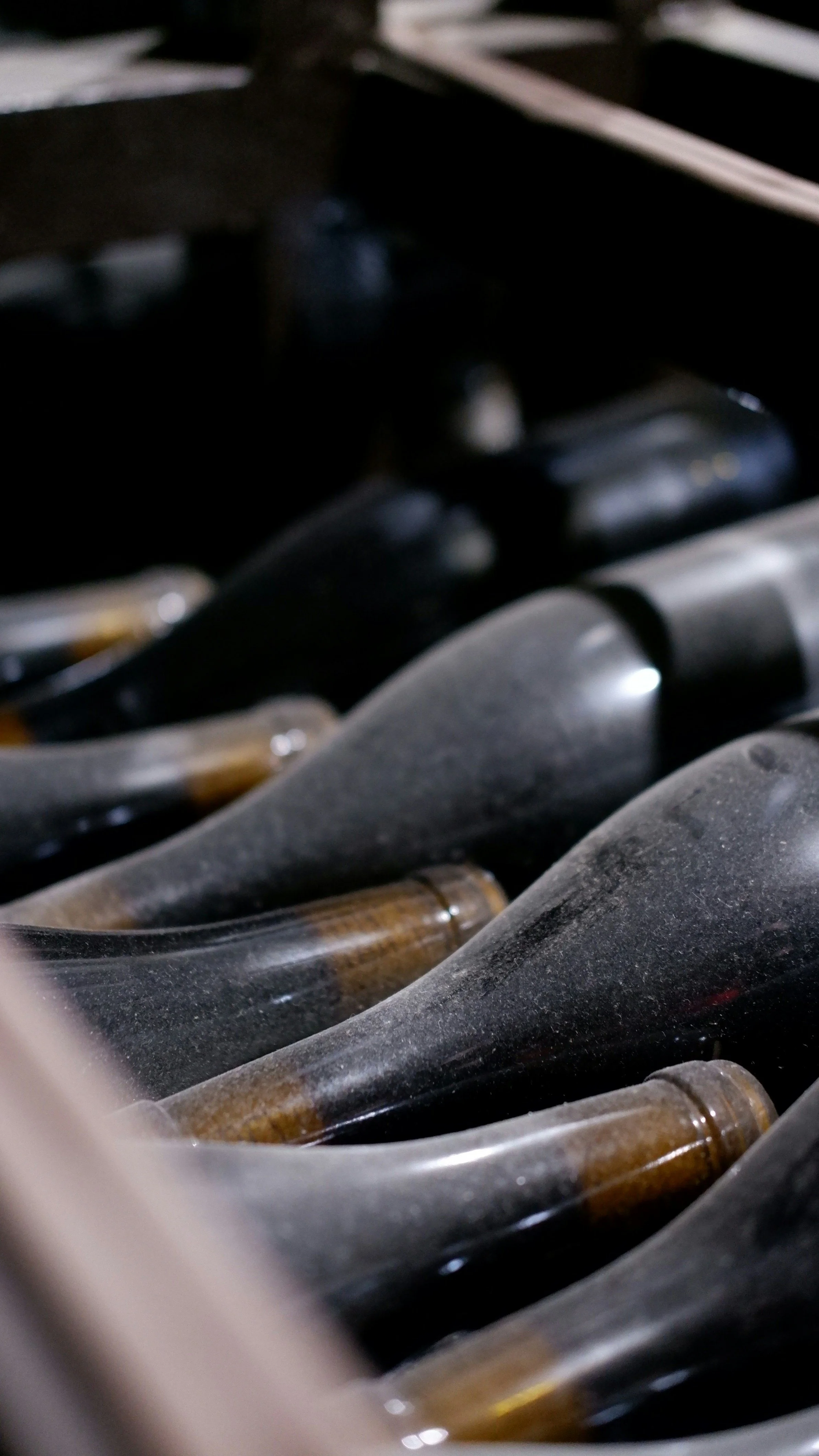 Can Cheap Wine Age Well? A 37-Year-Old Cabernet Sauvignon Says, Yes