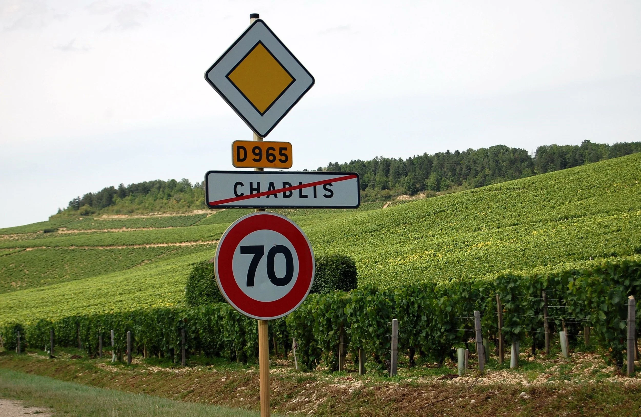 Road sign for Chablis surrounded by vineyard rows in Burgundy, France, showcasing the famous wine region known for Chardonnay and mineral-driven white wines.
