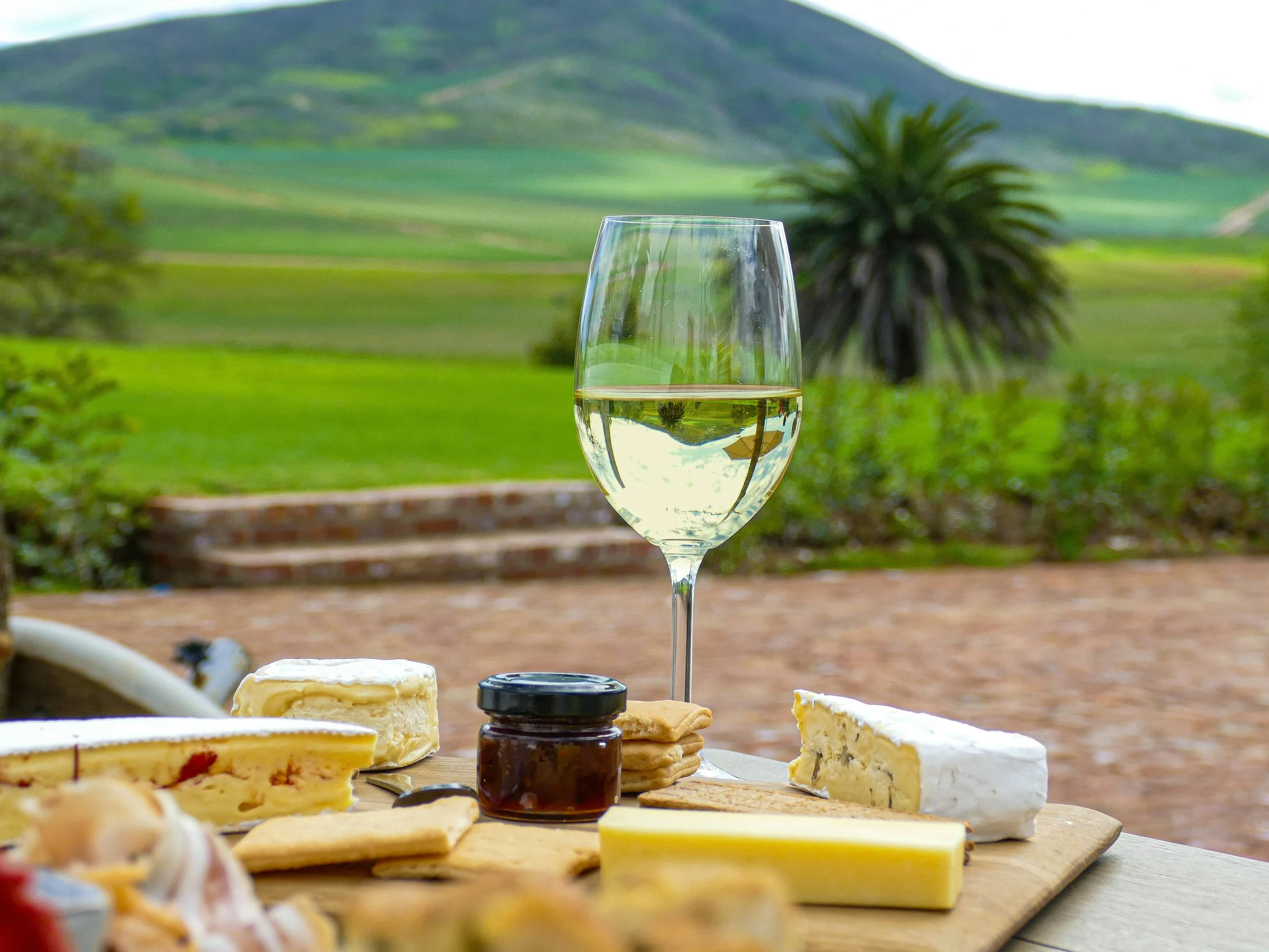 Glass of white wine served with artisan cheeses and crackers, illustrating why Alsace wines pair exceptionally well with food.