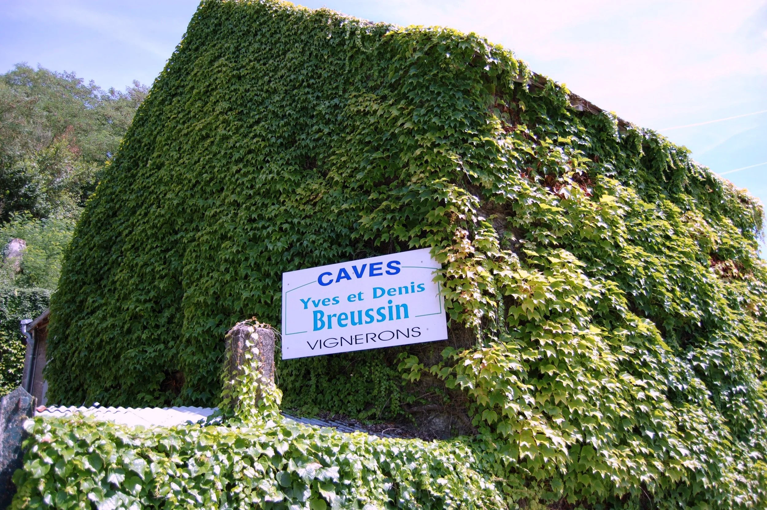 Traditional winery and wine cellar entrance covered in ivy in France's Loire Valley wine region