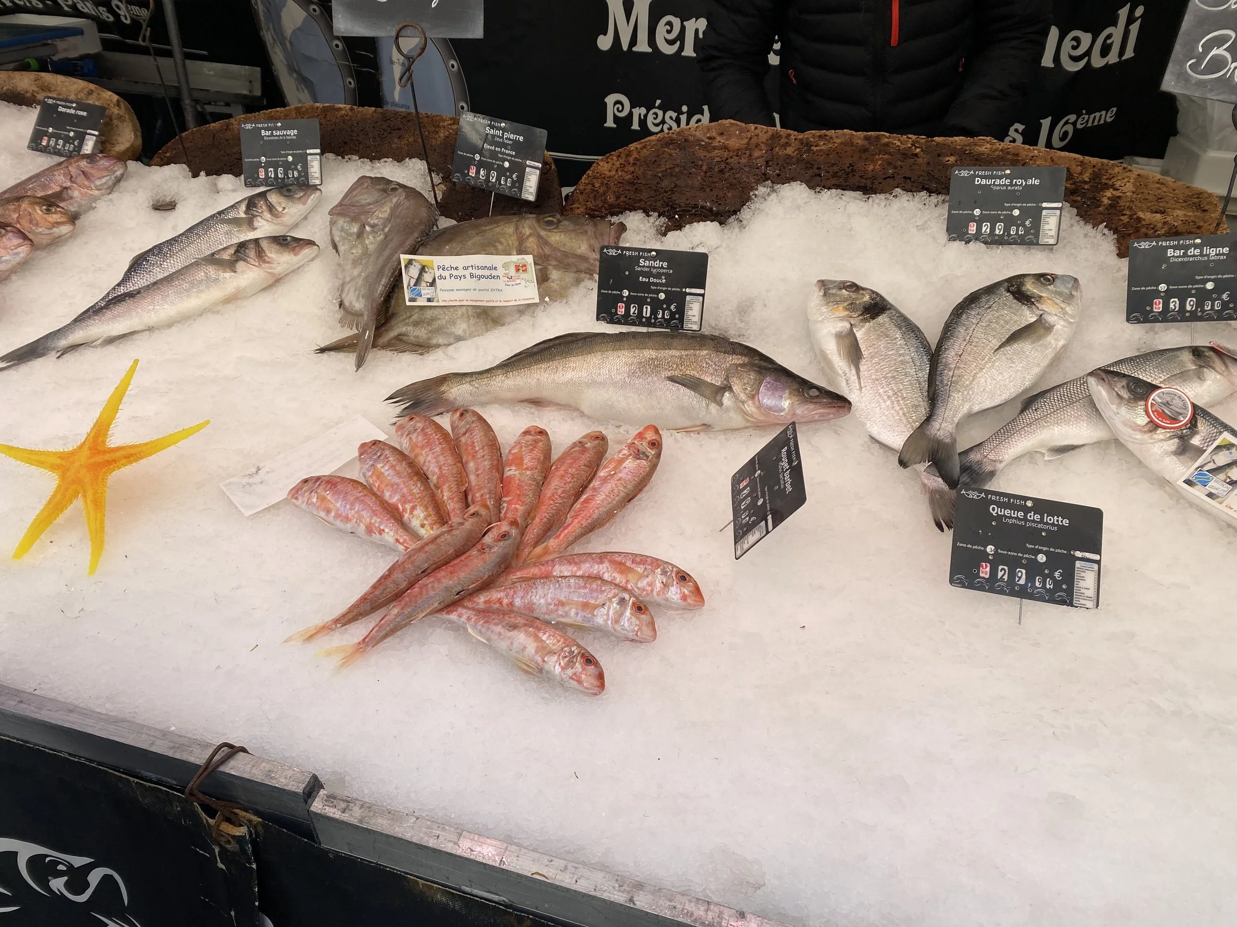 Fresh seafood and fish displayed on ice at a French market, representing classic food pairings with Chablis wines and mineral-driven Chardonnay from Burgundy, France.