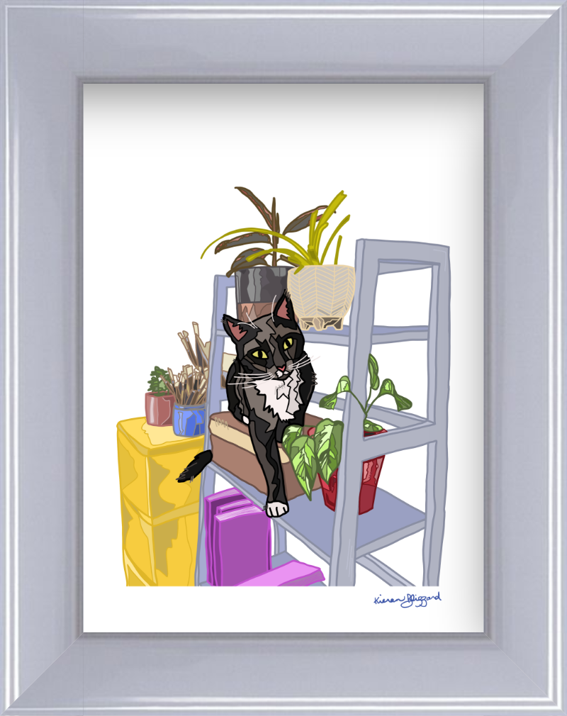shelf olive oyster 5x6.67