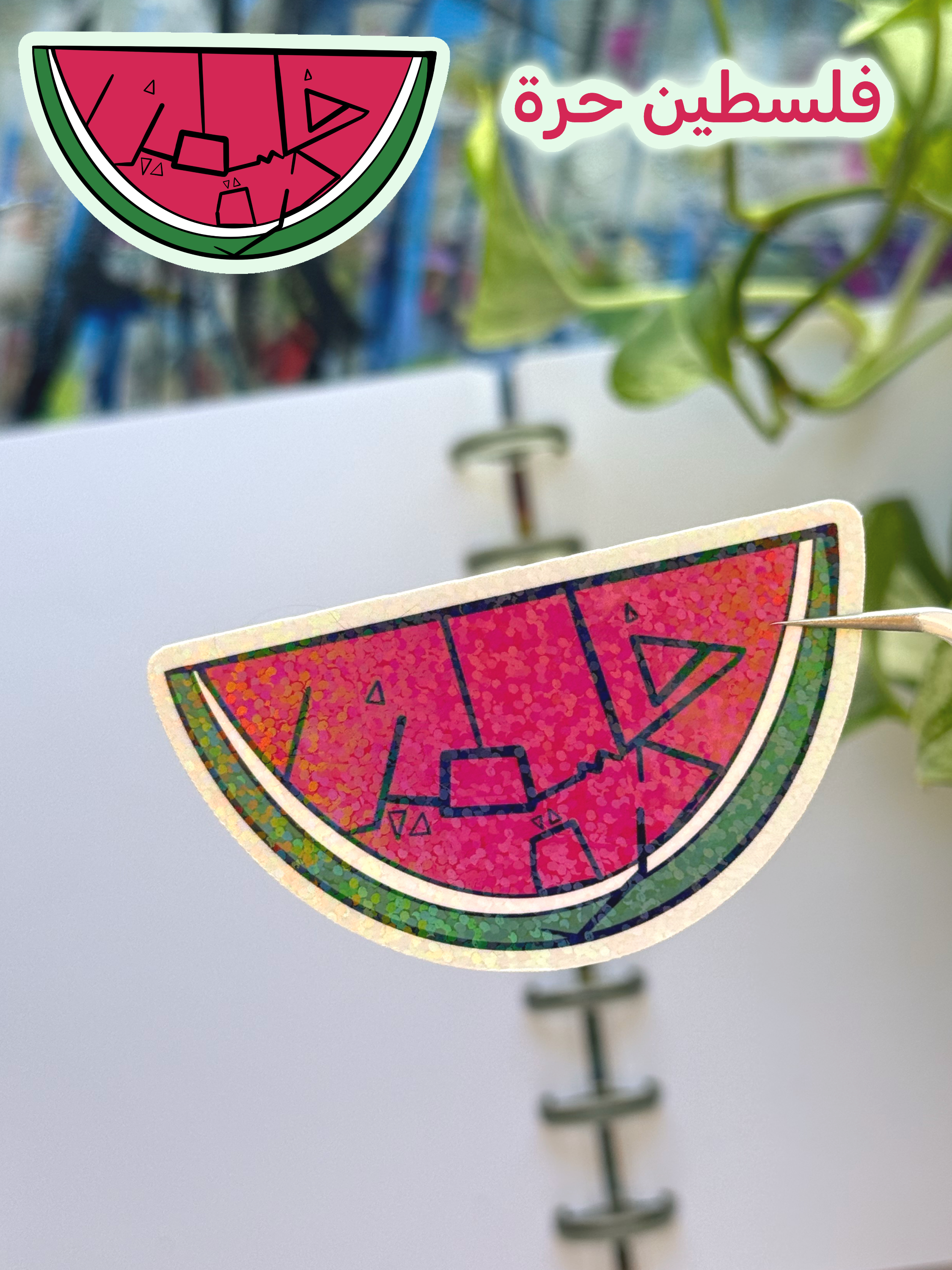 IMG_3026.PNG