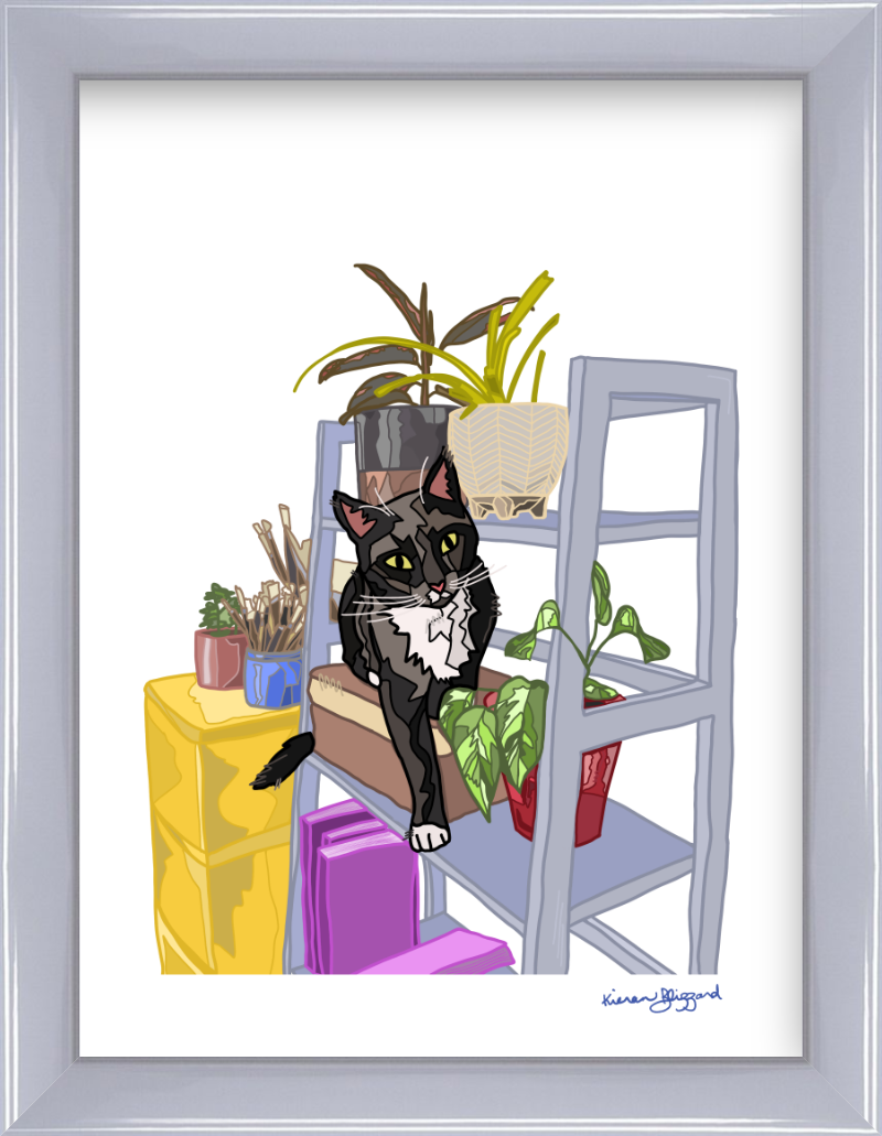 shelf olive oyster 9x12