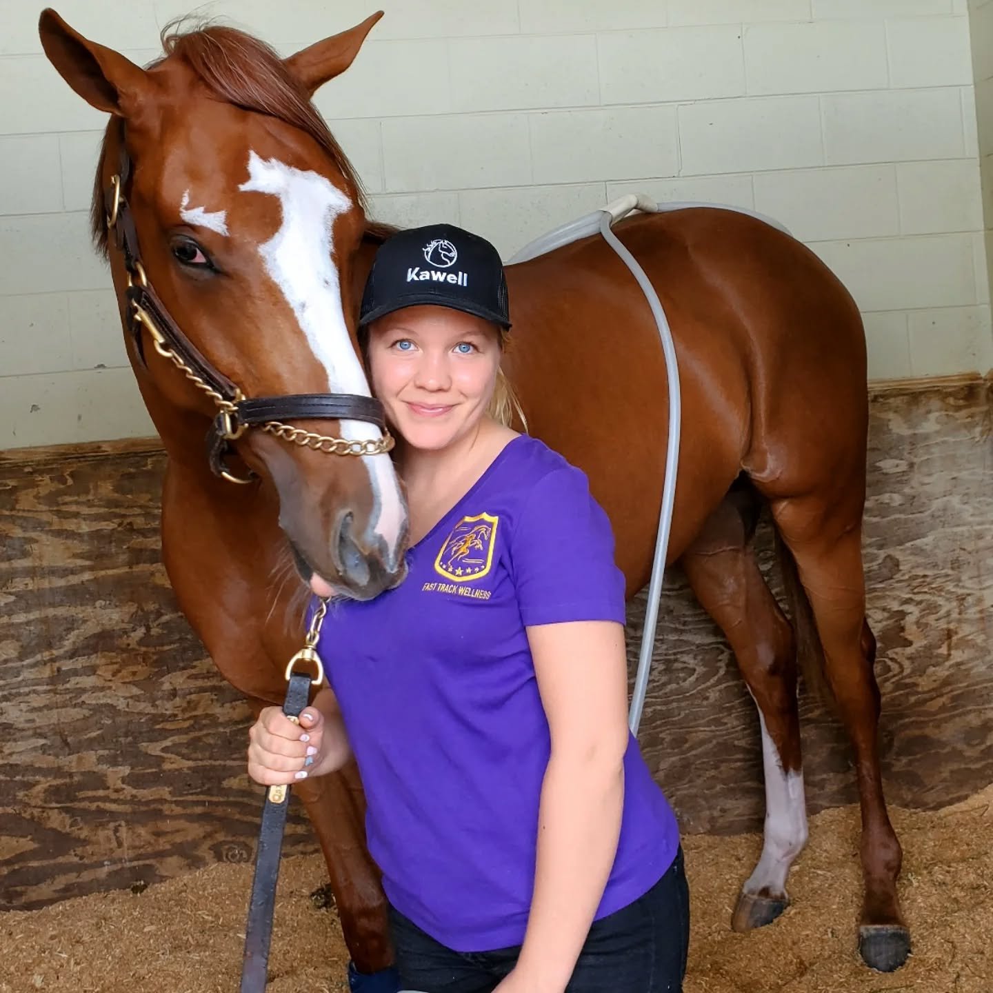 ✨ Helping horses feel their best, one session at a time! ✨ #FastTrackWellness #MagnawaveTherapy