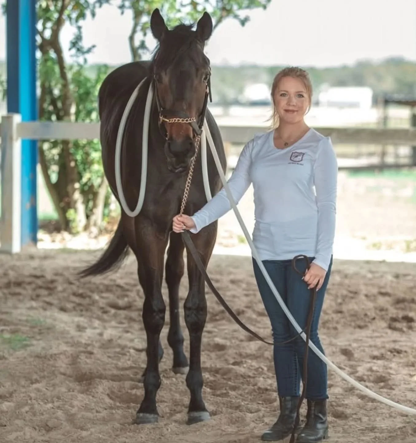 Where equine wellness meets results you can see and feel! Using PEMF therapy to improve circulation, reduce inflammation, and support recovery and performance.

#EquineWellness #PEMFtherapy #EquineTherapy #HorseHealth
#PerformanceHorse #PEMFforHorses
