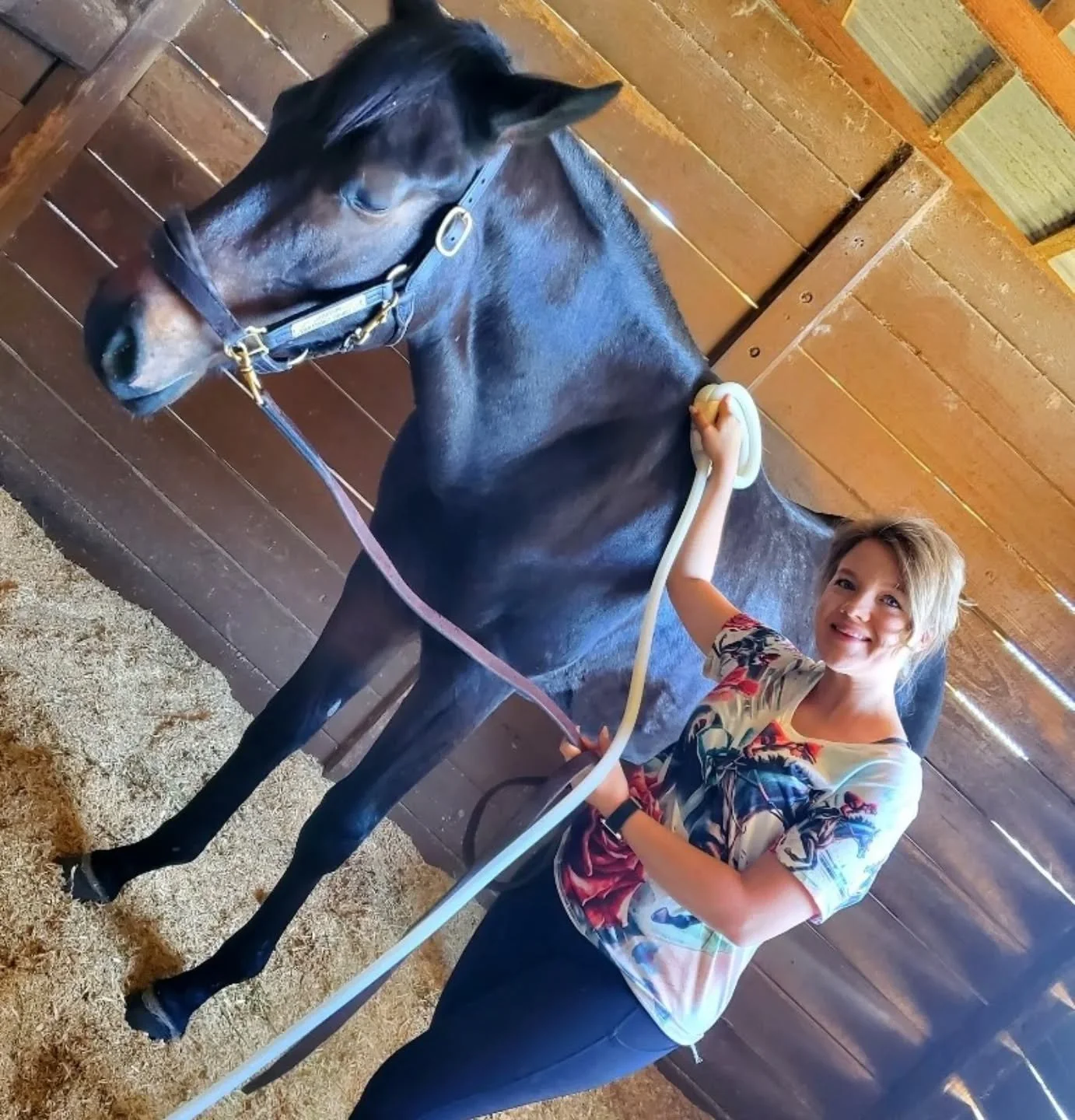 With MagnaWave therapy we support recovery, relaxation, and performance! Because a happy horse is a healthy horse 🐴💫
Contact here for availability, pricing, and current promotions!

#PEMFtherapy #EquinePEMF #EquineWellness #HorseTherapy #EquineCare