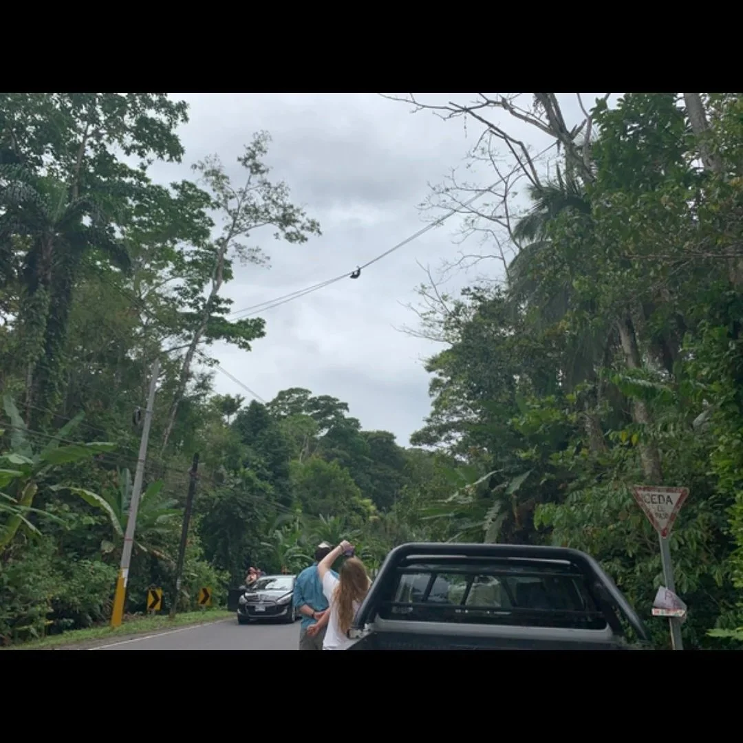 Pipa’s March Update 