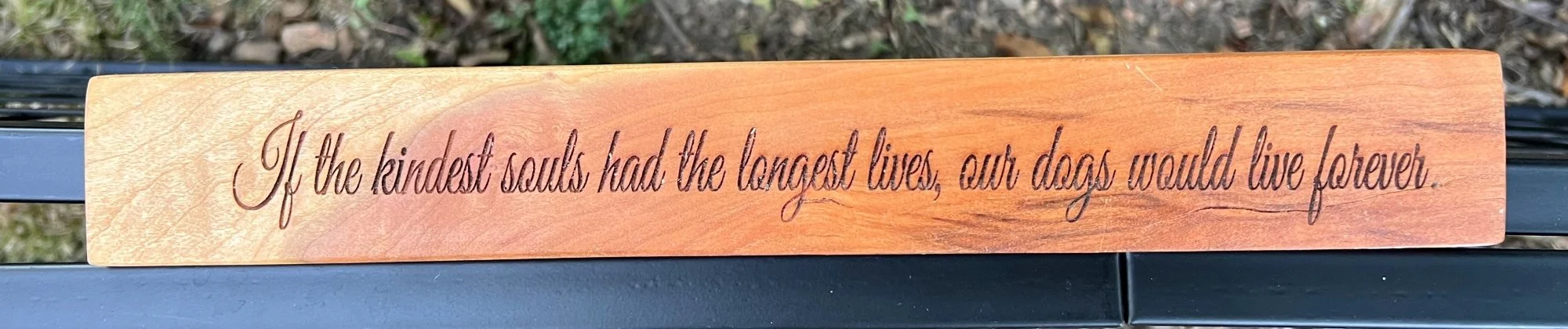 If the Kindest Souls Lived the Longest - Dog Memorial