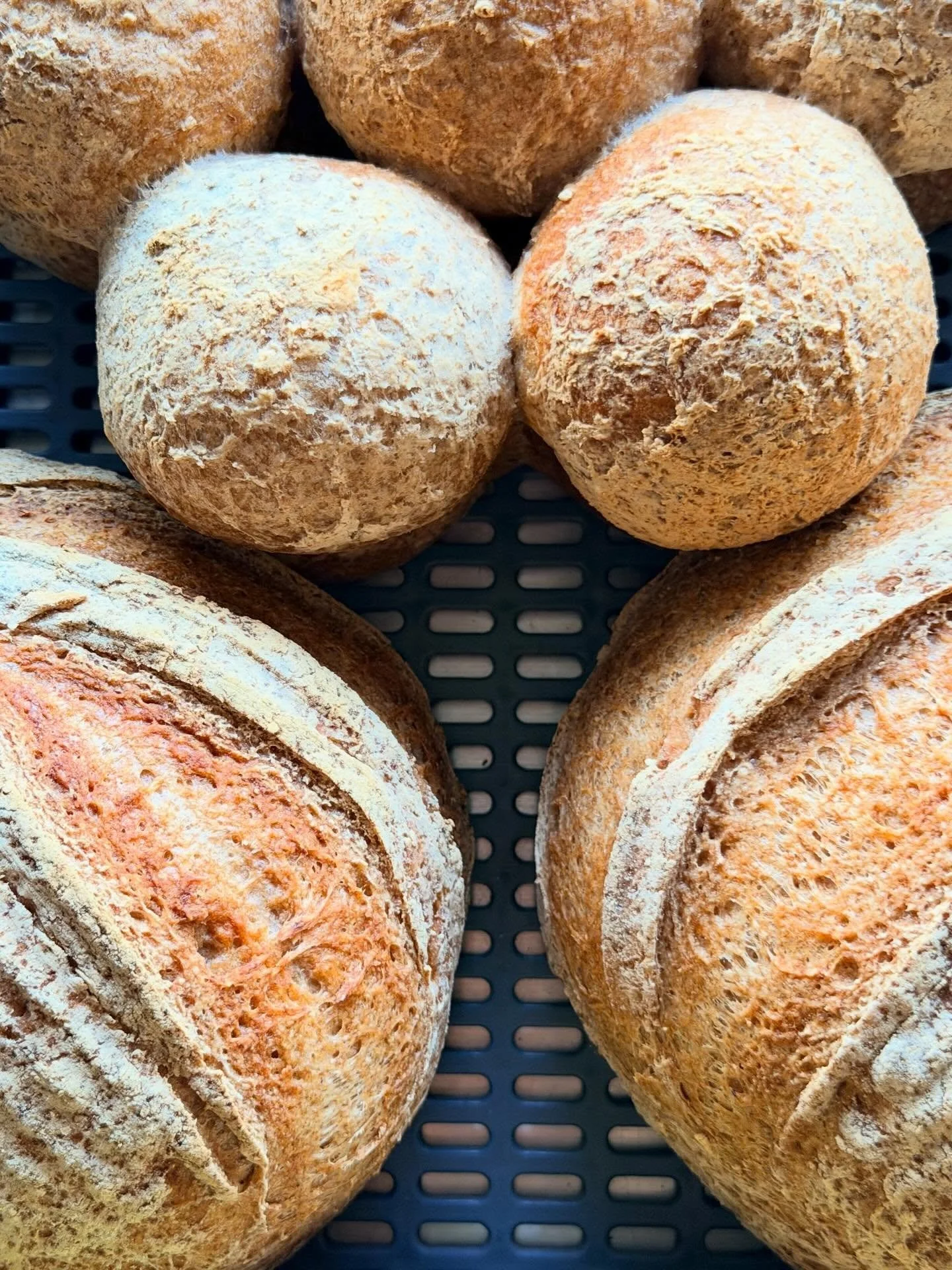 Buns! All gluten free &amp; gum free, the staples of Avalon gf family homes 🏠 🧡 soon to be sold individually 

Xx

Which bun toppings would you like to see?