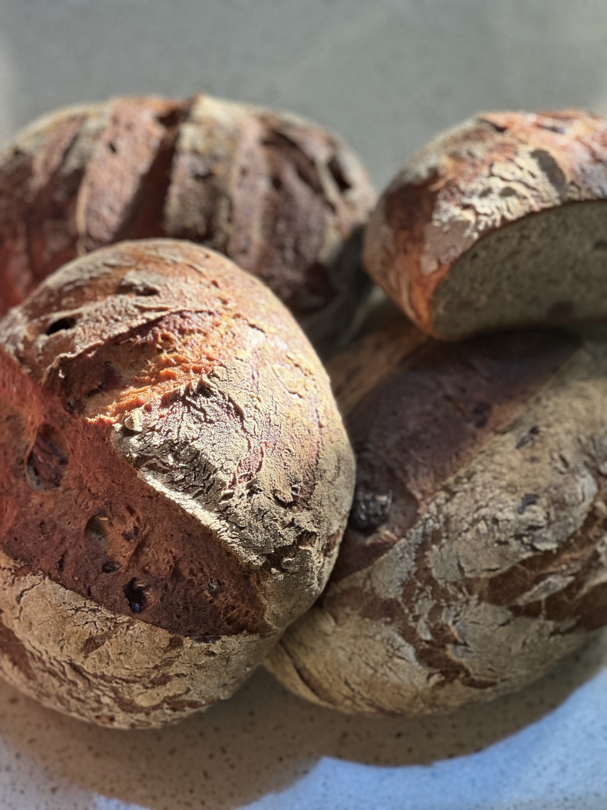 Buckwheat Sourdough Boules