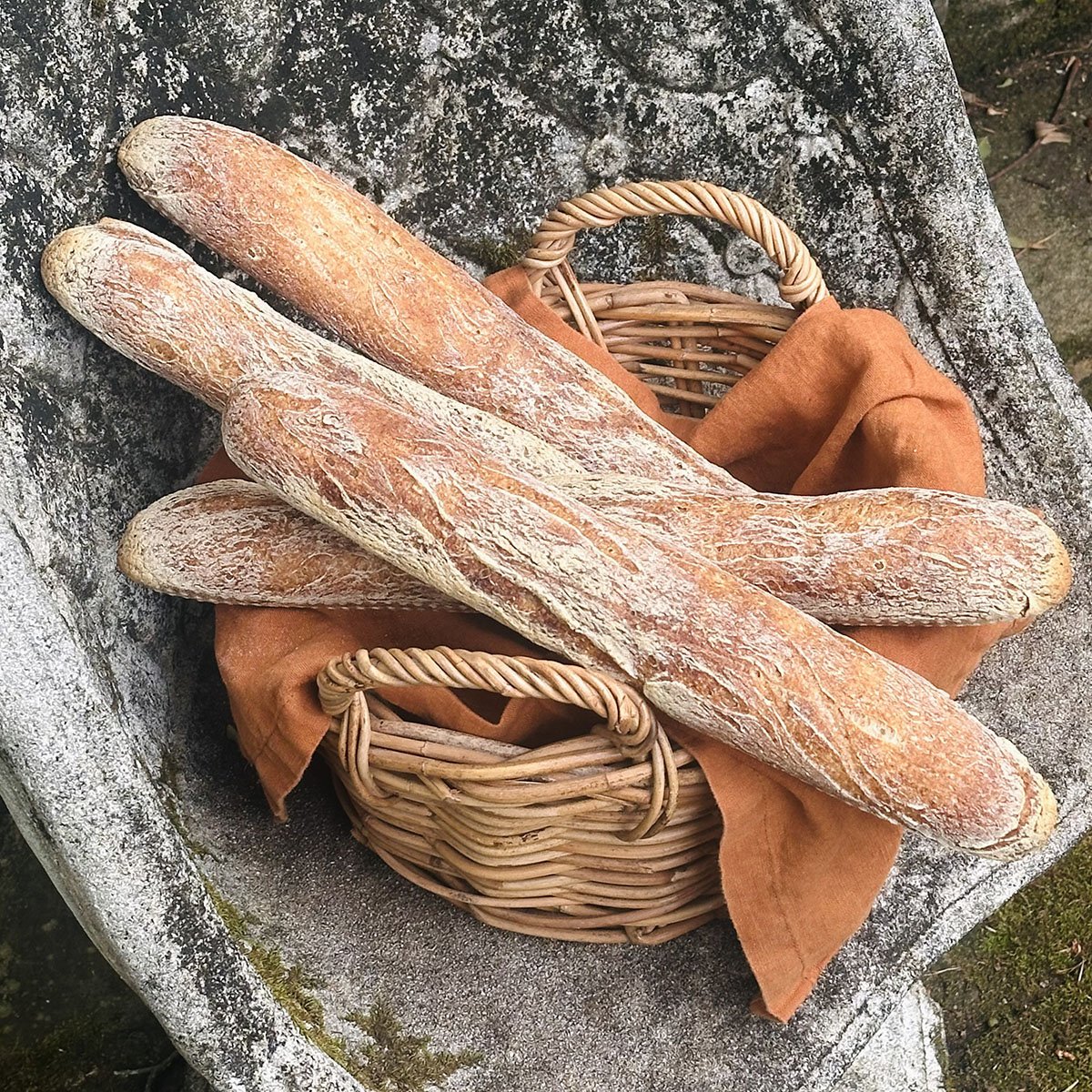 gf-buckwheat-sourdough-baguettes.jpeg