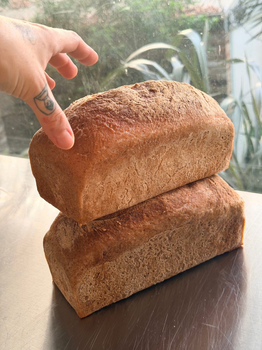 Buckwheat Sourdough Sandwich Loaf