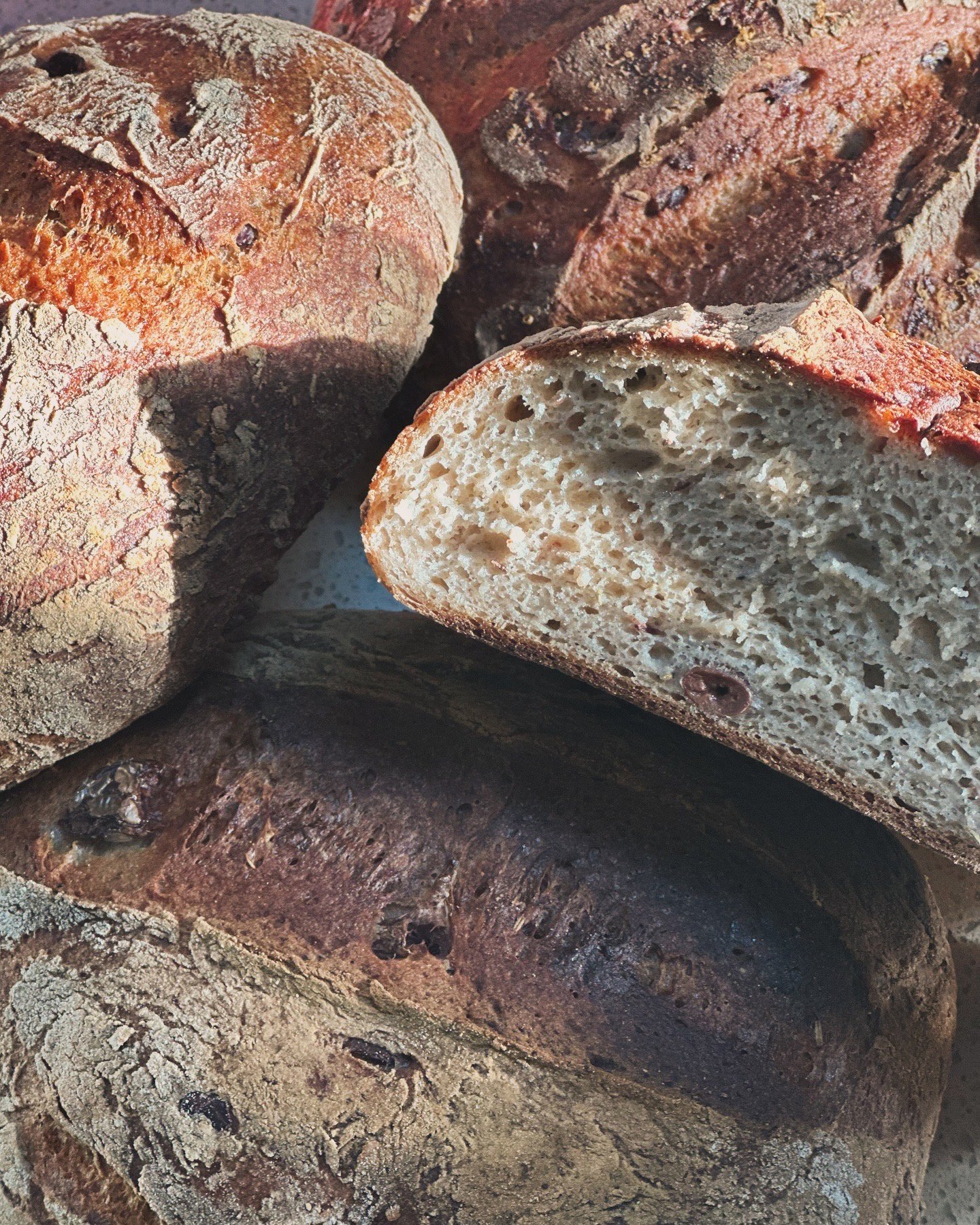 Buckwheat Sourdough Boule — Really Good Gluten Free