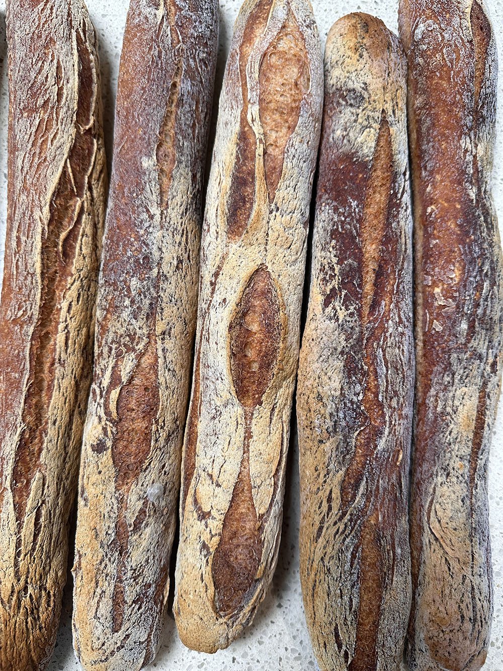 Buckwheat Sourdough Baguettes